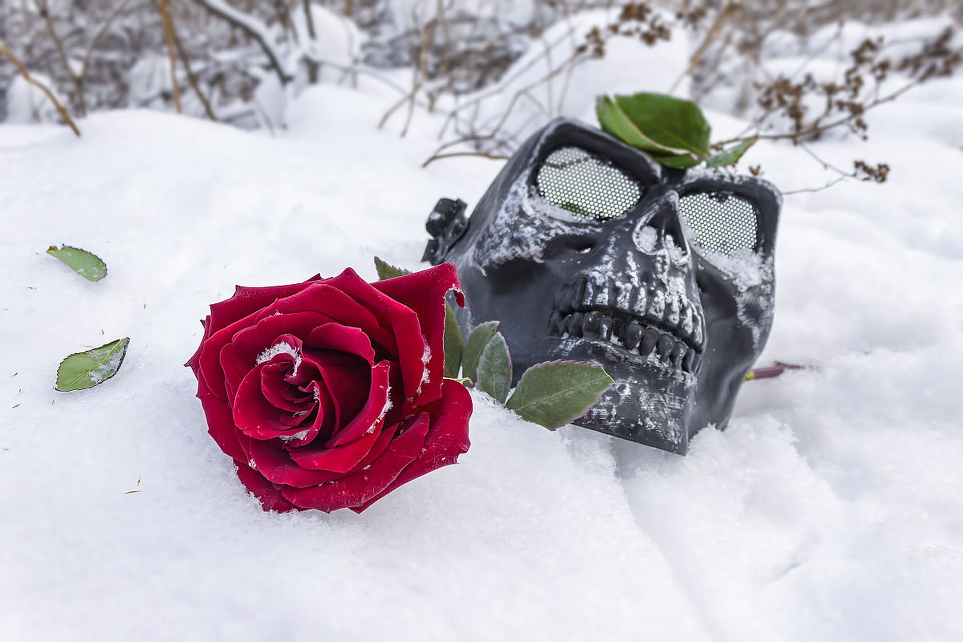 这个婆婆的强势也给男孩带来了幸福