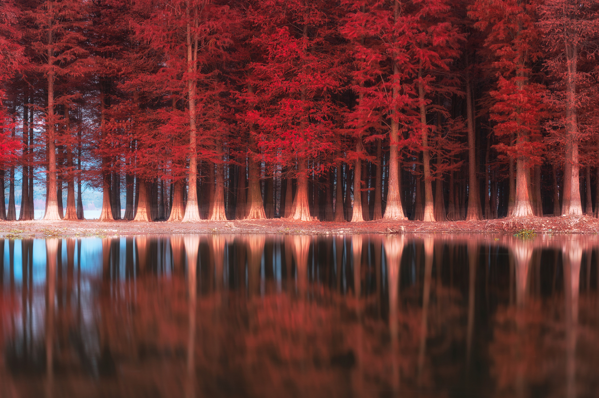 重庆彩云湖湿地公园于2011年建成,占地1600亩,是九龙坡区首个国家级