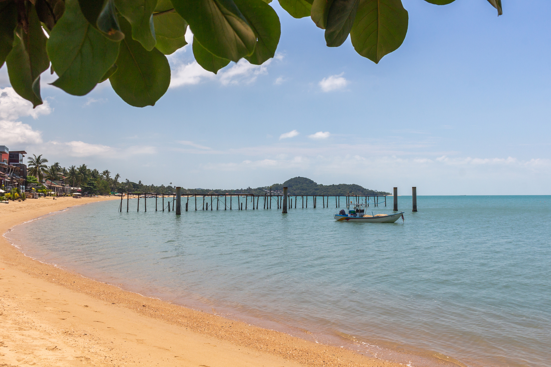 夏日闪光旅行家# 宁夏的金沙岛宛如一颗璀璨的明珠镶嵌在腾格里沙漠
