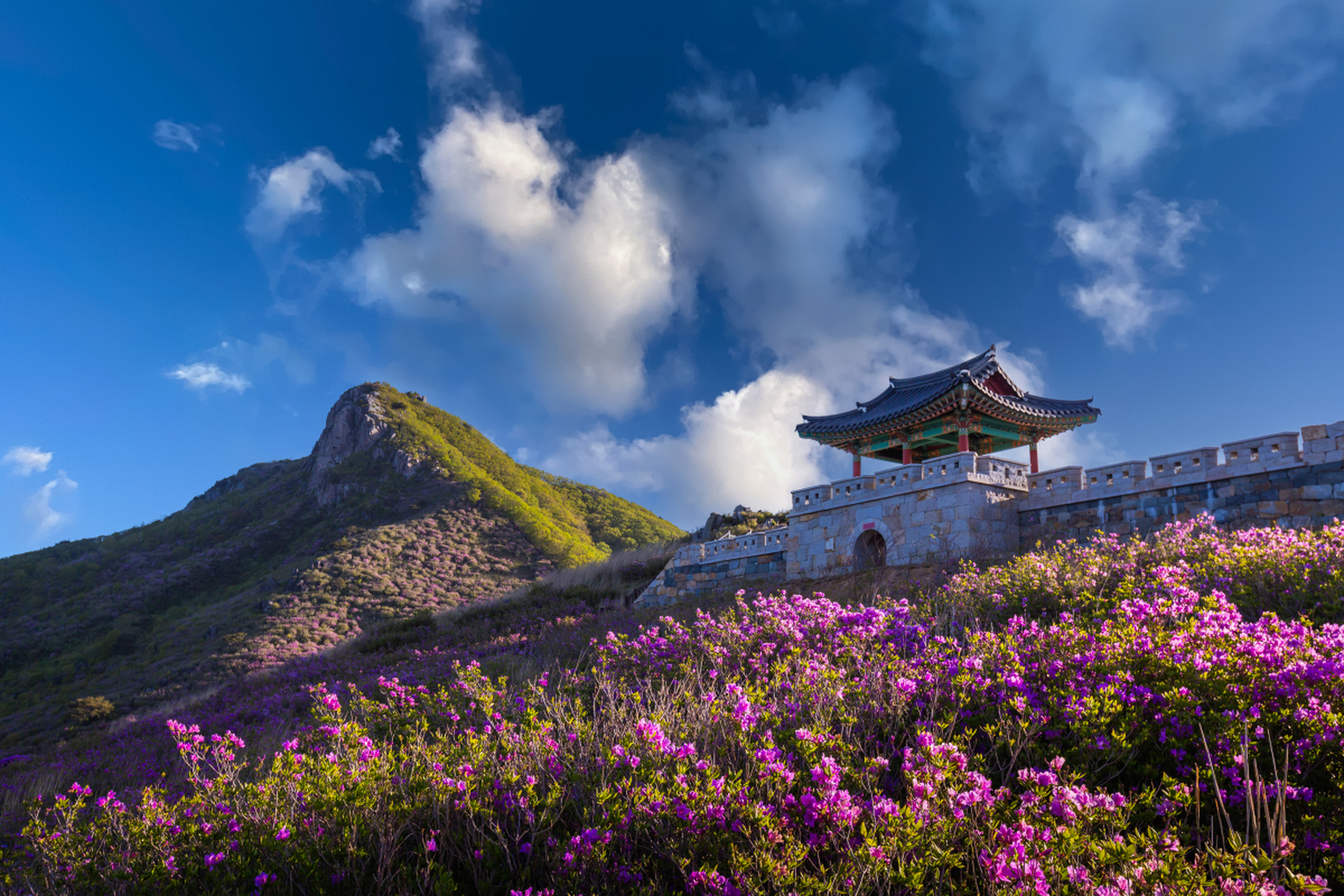 会泽公园简介图片