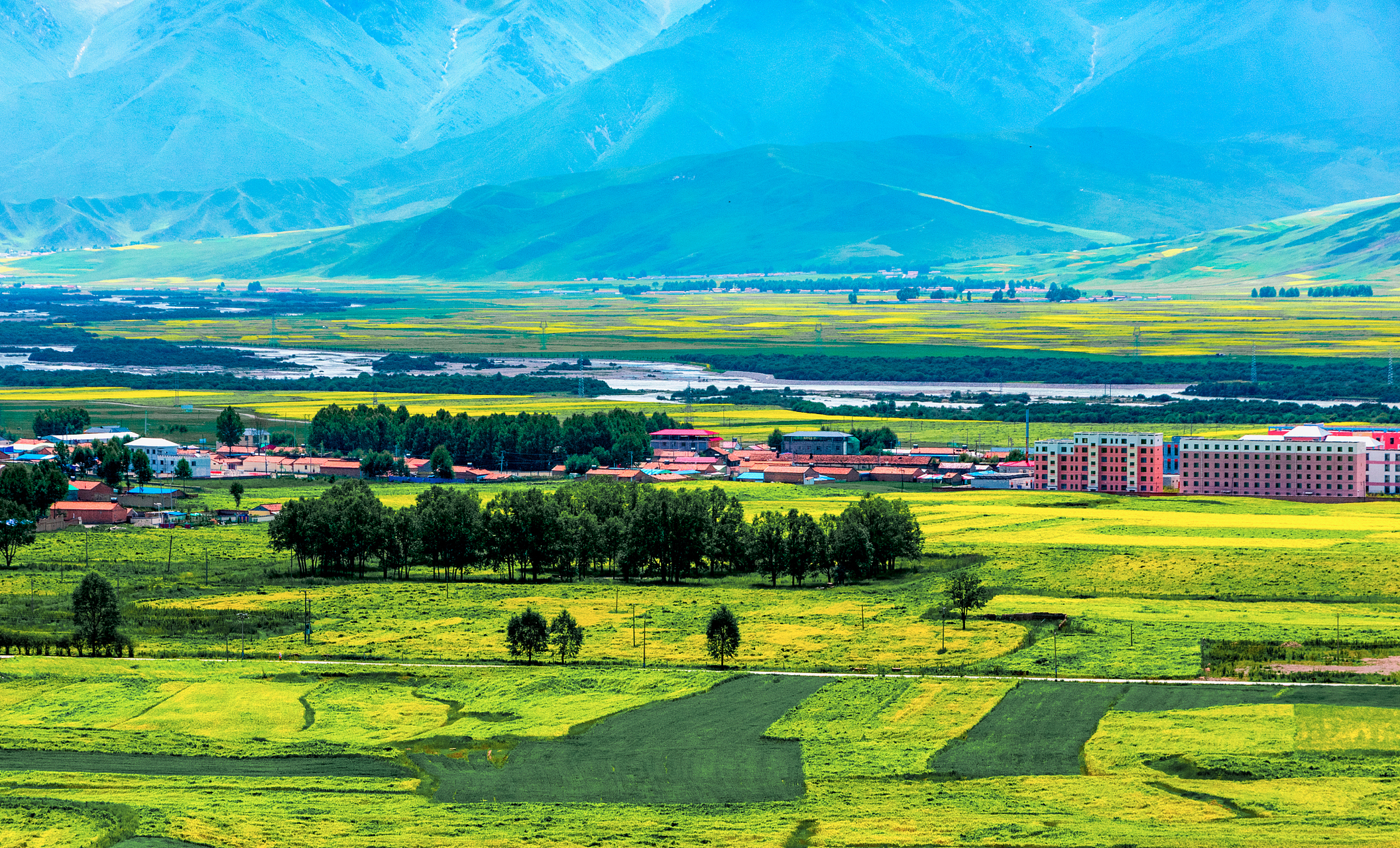 仲夏消暑季#夏天,青海省门源县的草海是最佳的自然旅游胜地.