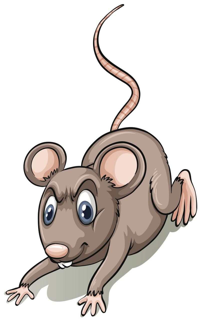 四害之首的老鼠,以前在农村很常见,为什么现在很少见了呢?