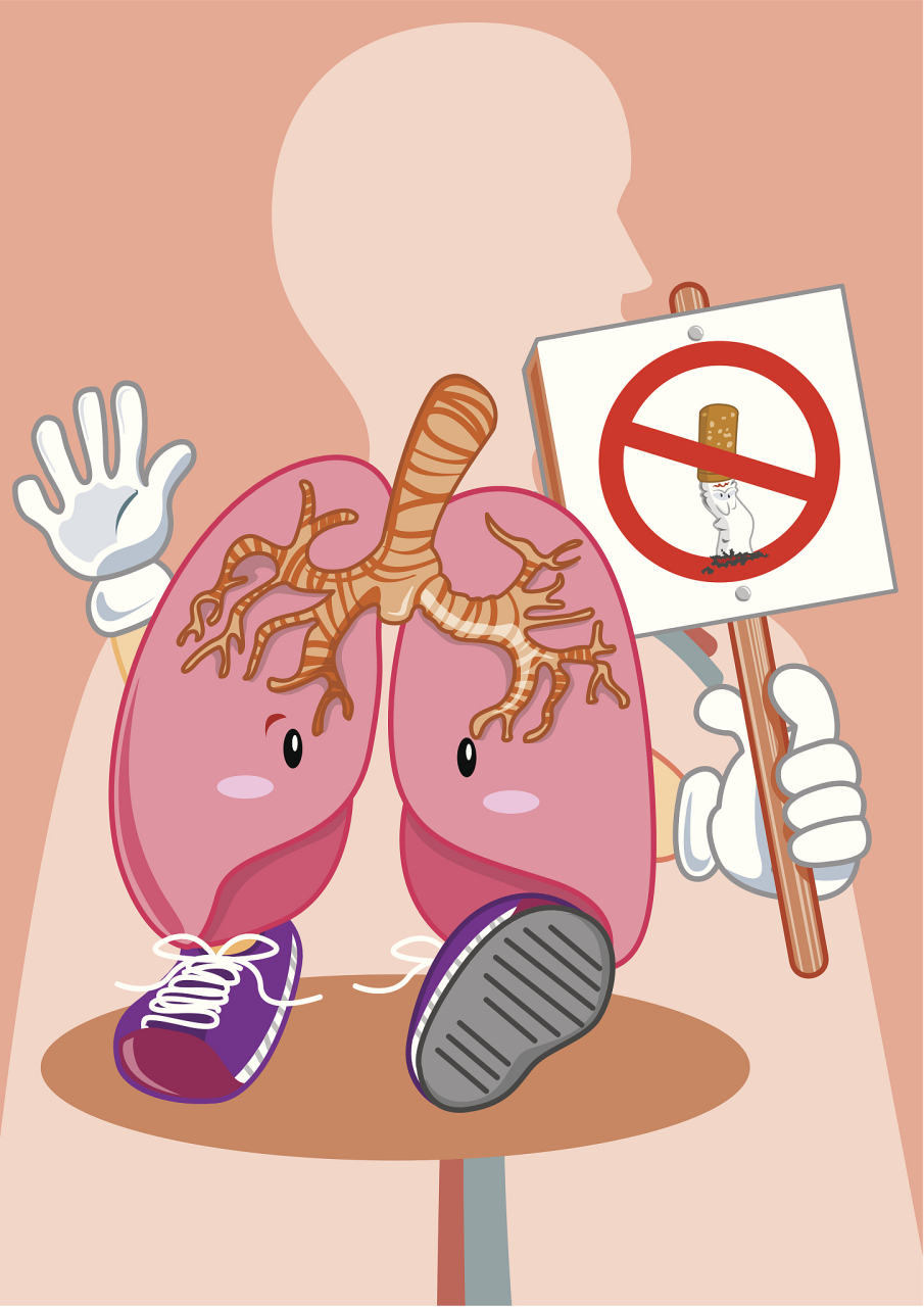 肺是人体主要的呼吸器官,也是重要的造血器官,肺病又被称为人体