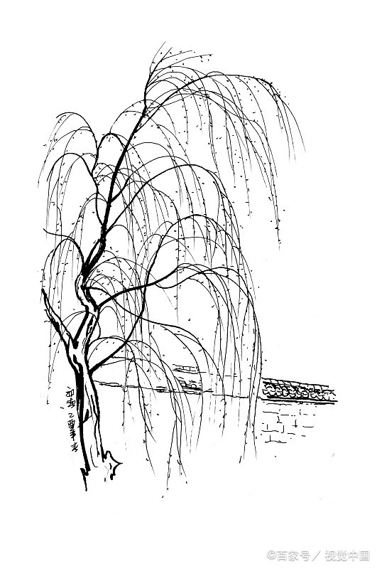 柳丝轻舞,墨韵生辉:解锁柳树绘制的艺术奥秘