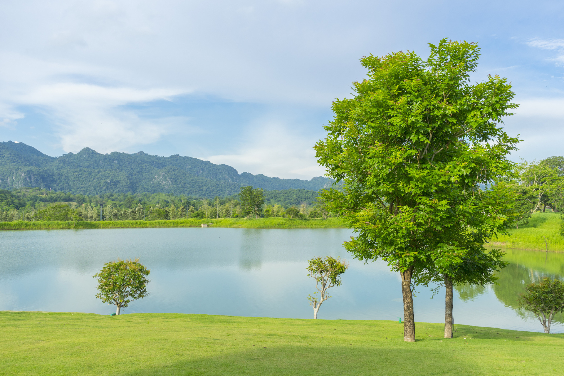 我国生态文明建设成就显著,美丽中国画卷徐徐展开 党的以来,我国在