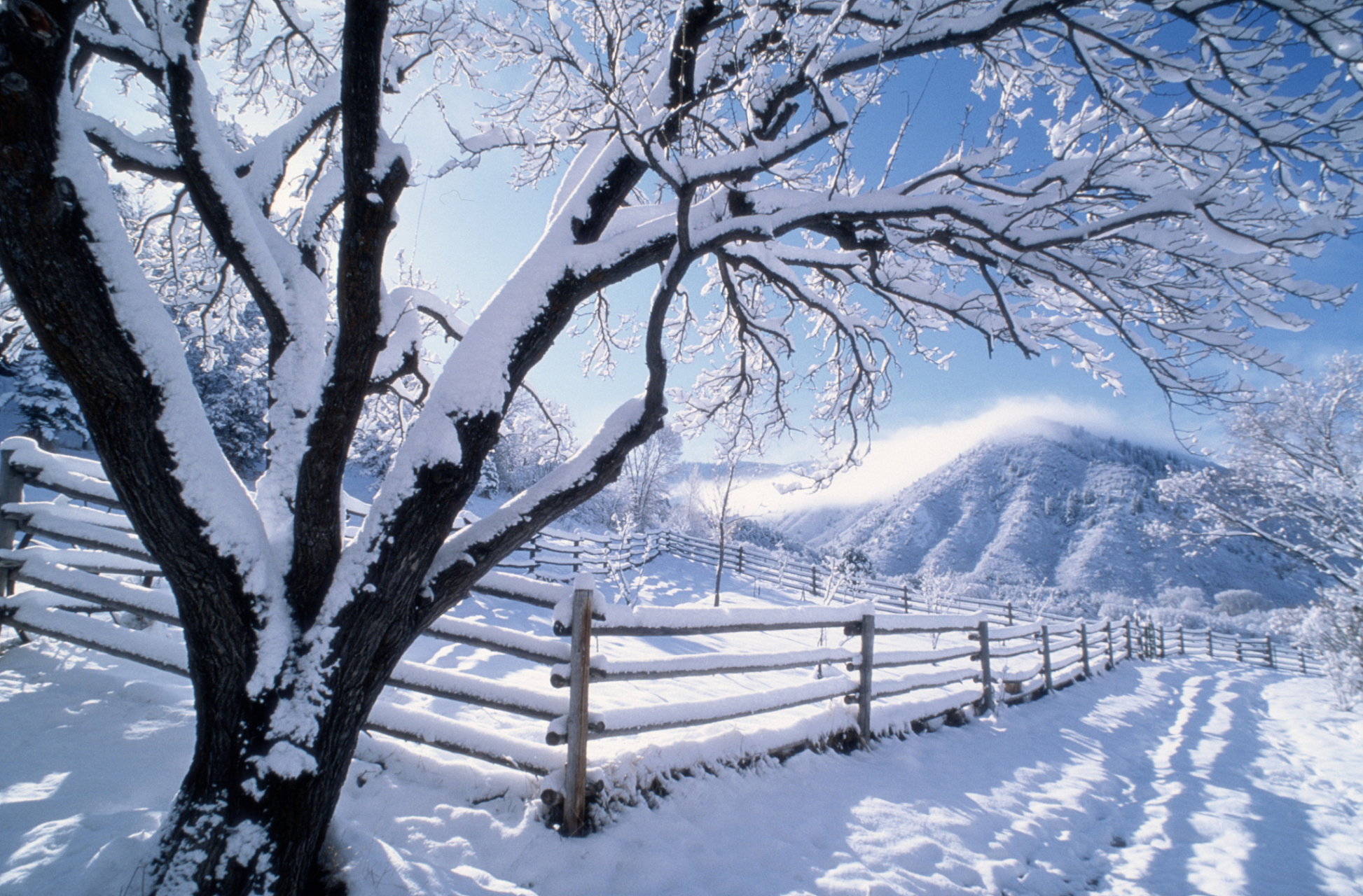 冬季养生,谨记7个禁忌建议牢记 1,不要成天关门,关窗.