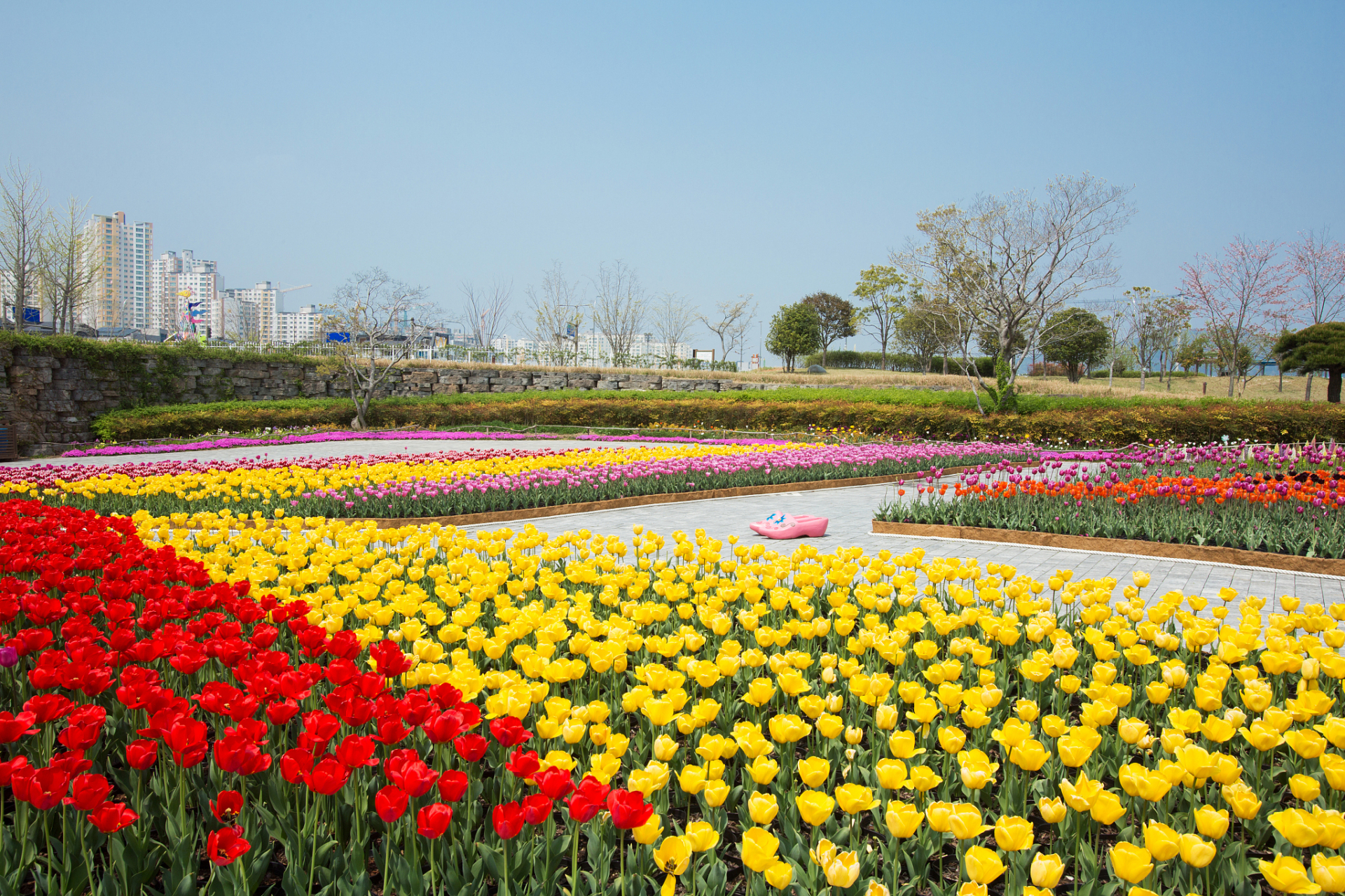 花舞人间景点照片图片