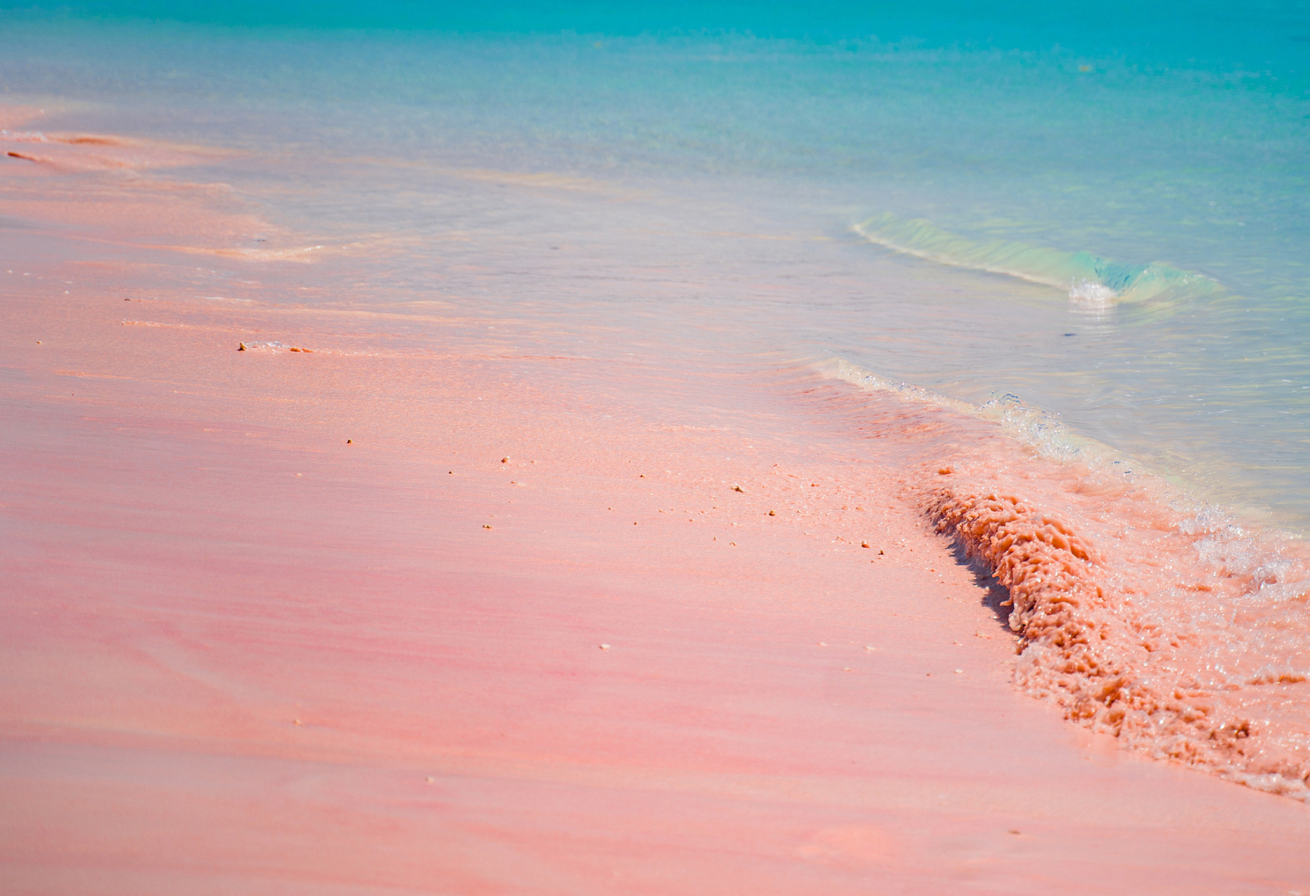 粉色沙滩位于巴哈马群岛上哈勃岛,被美国《新闻周刊》评选为世界上最