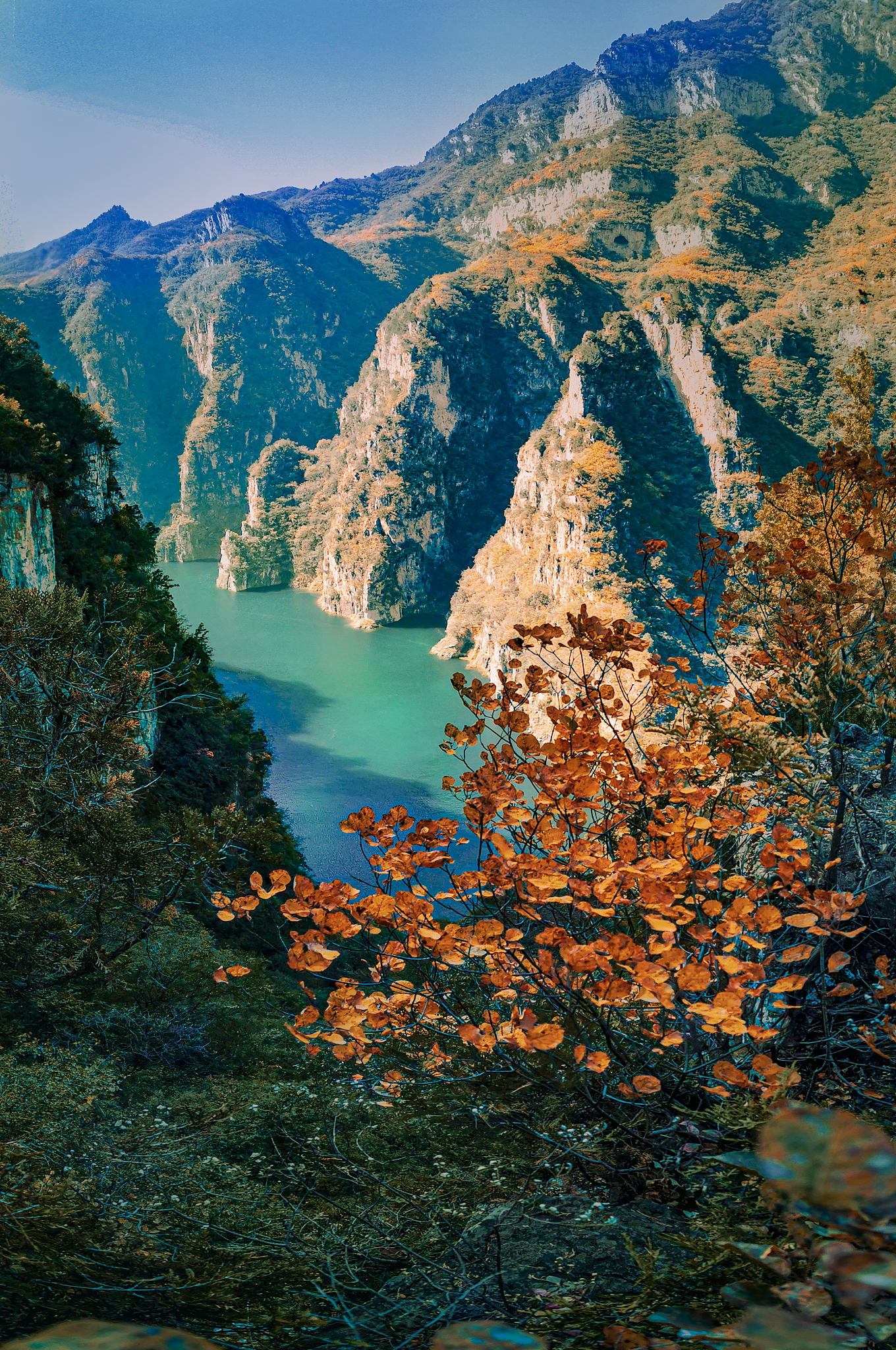 秋日渐凉,去柳林县的黄河三峡风景区有何新奇体验?