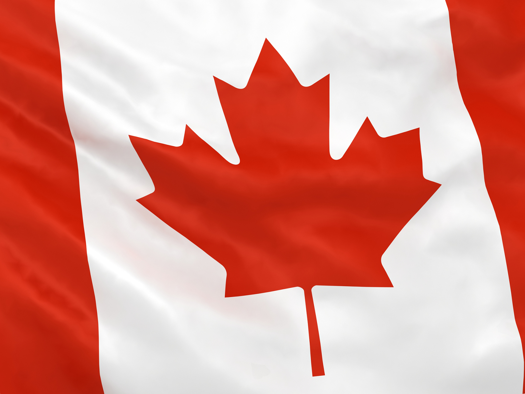 加拿大枫叶代表图片
