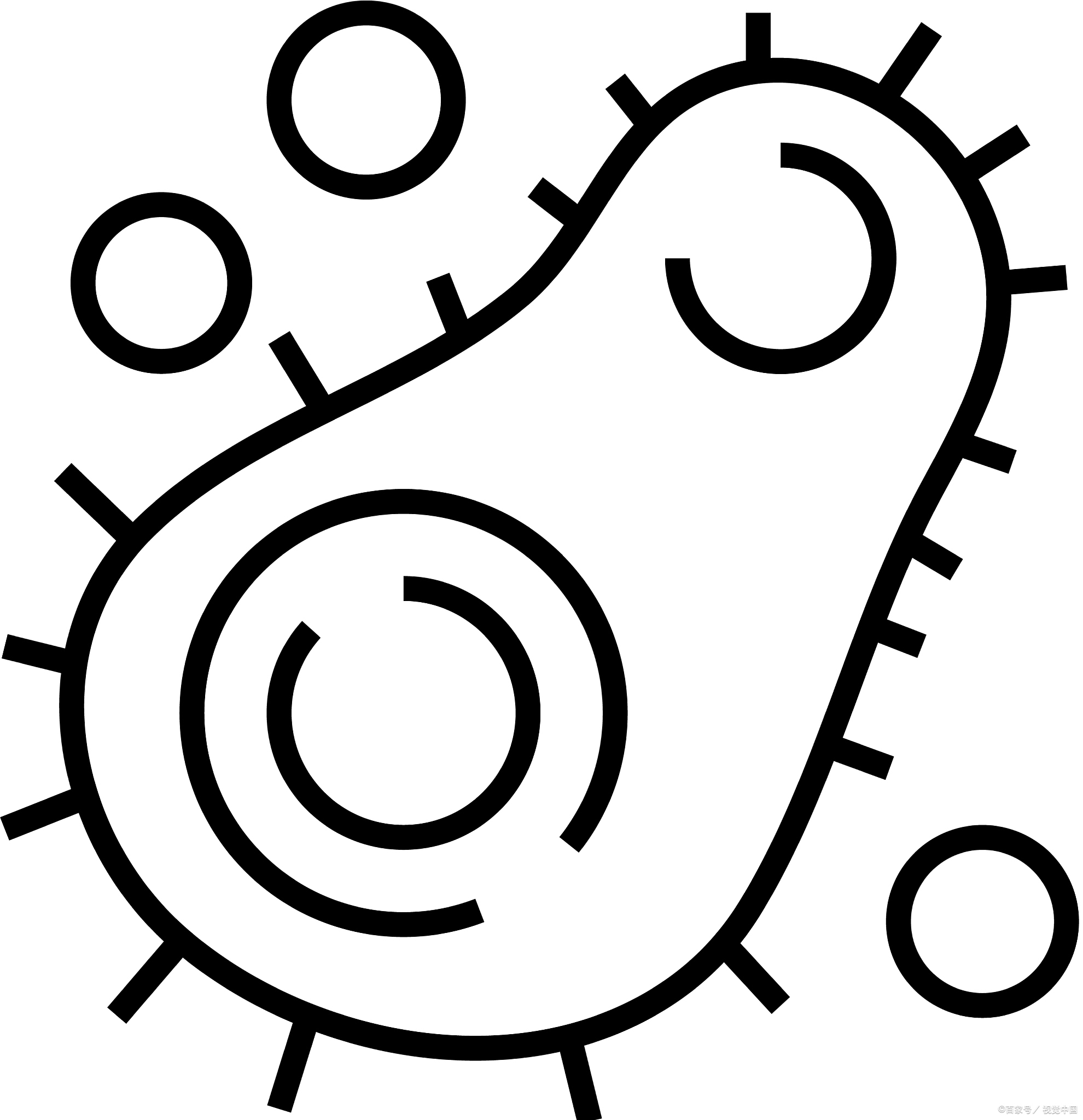 细菌简笔画怎么画!