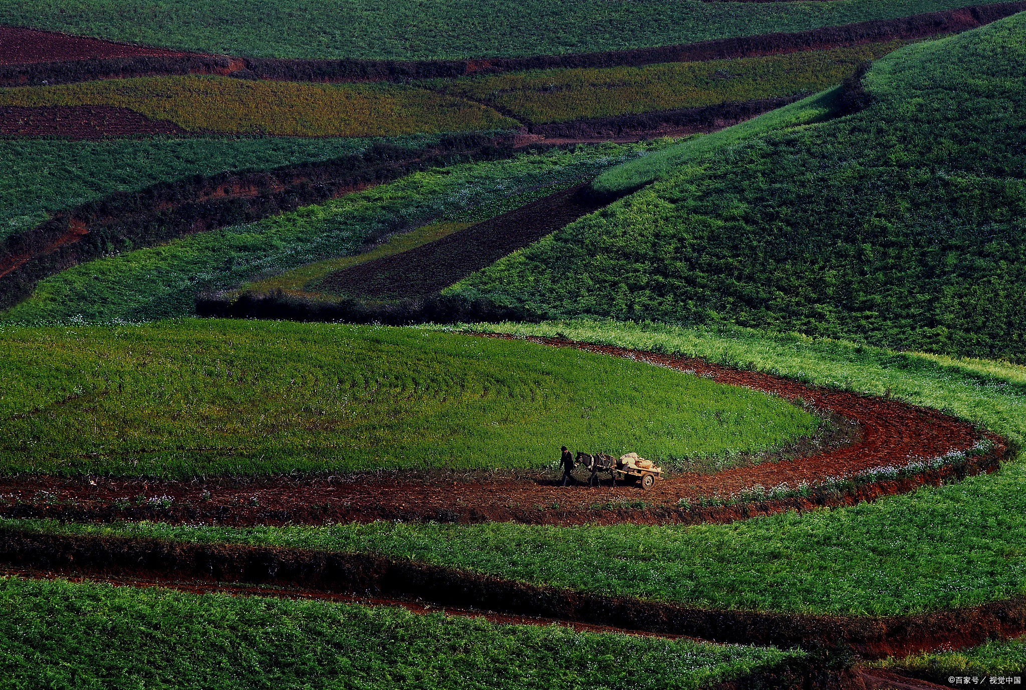 农村土地分田到户的主要目的是什么？并非完全为了提高粮食产量