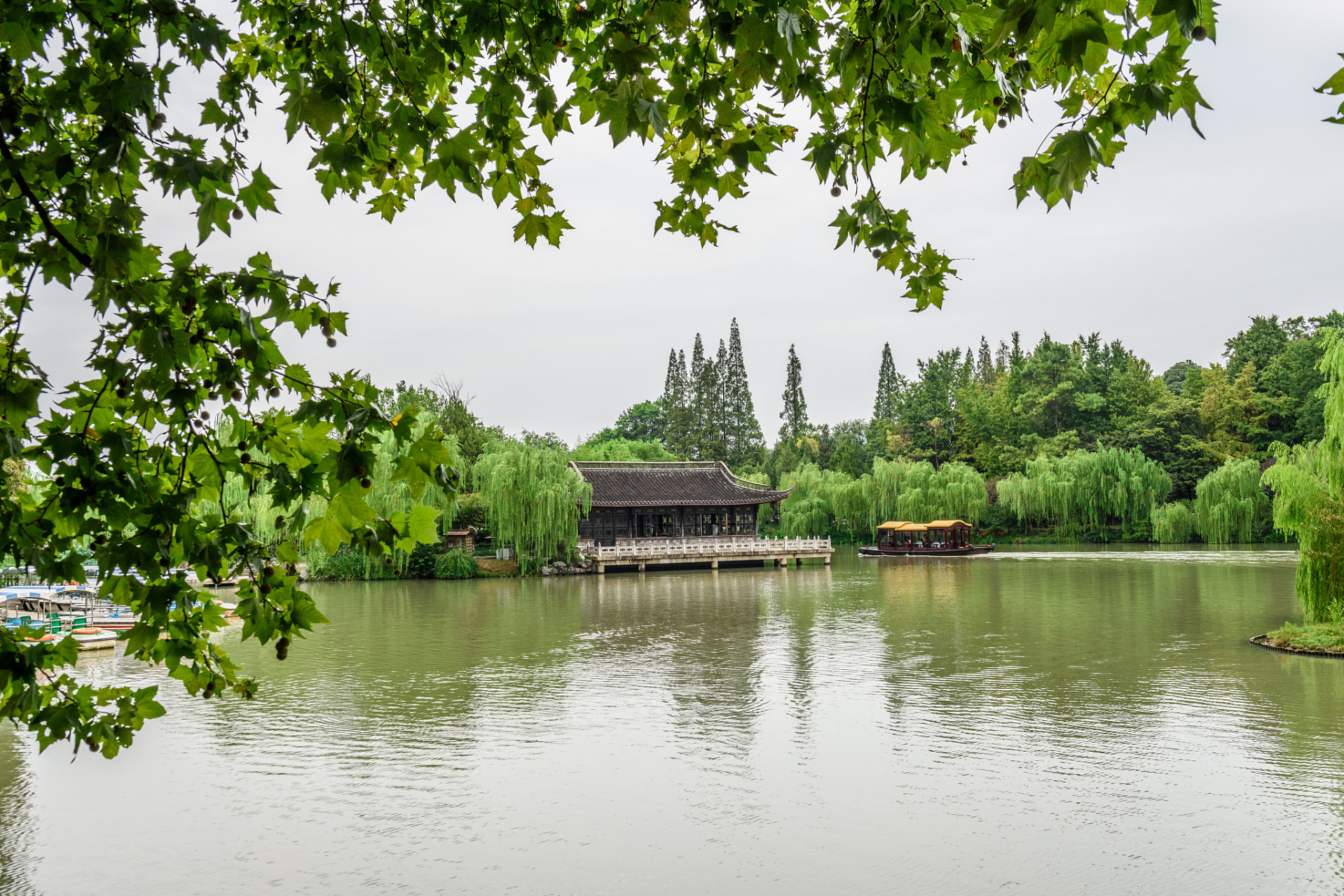 漫步杭州的柳浪闻莺景区,仿佛置身童话仙境.