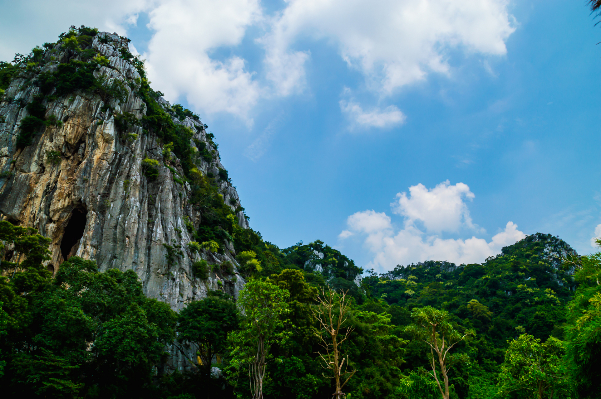 白云山国家森林公园,位于河南省洛阳市嵩县西南部伏牛山原始林区,总