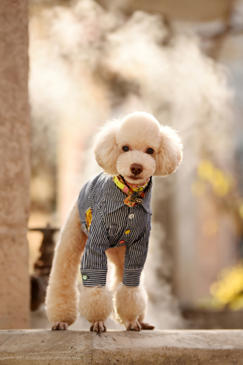 853_1280竖版 竖屏