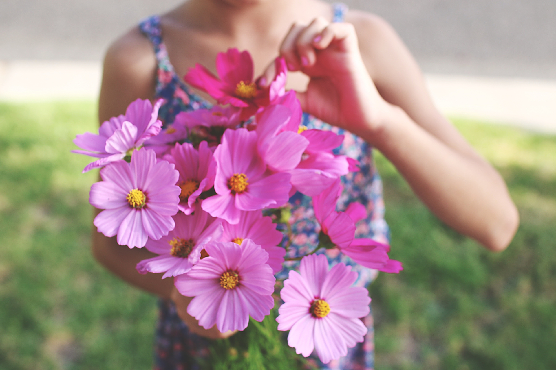手拿野花怎样拍照好看?