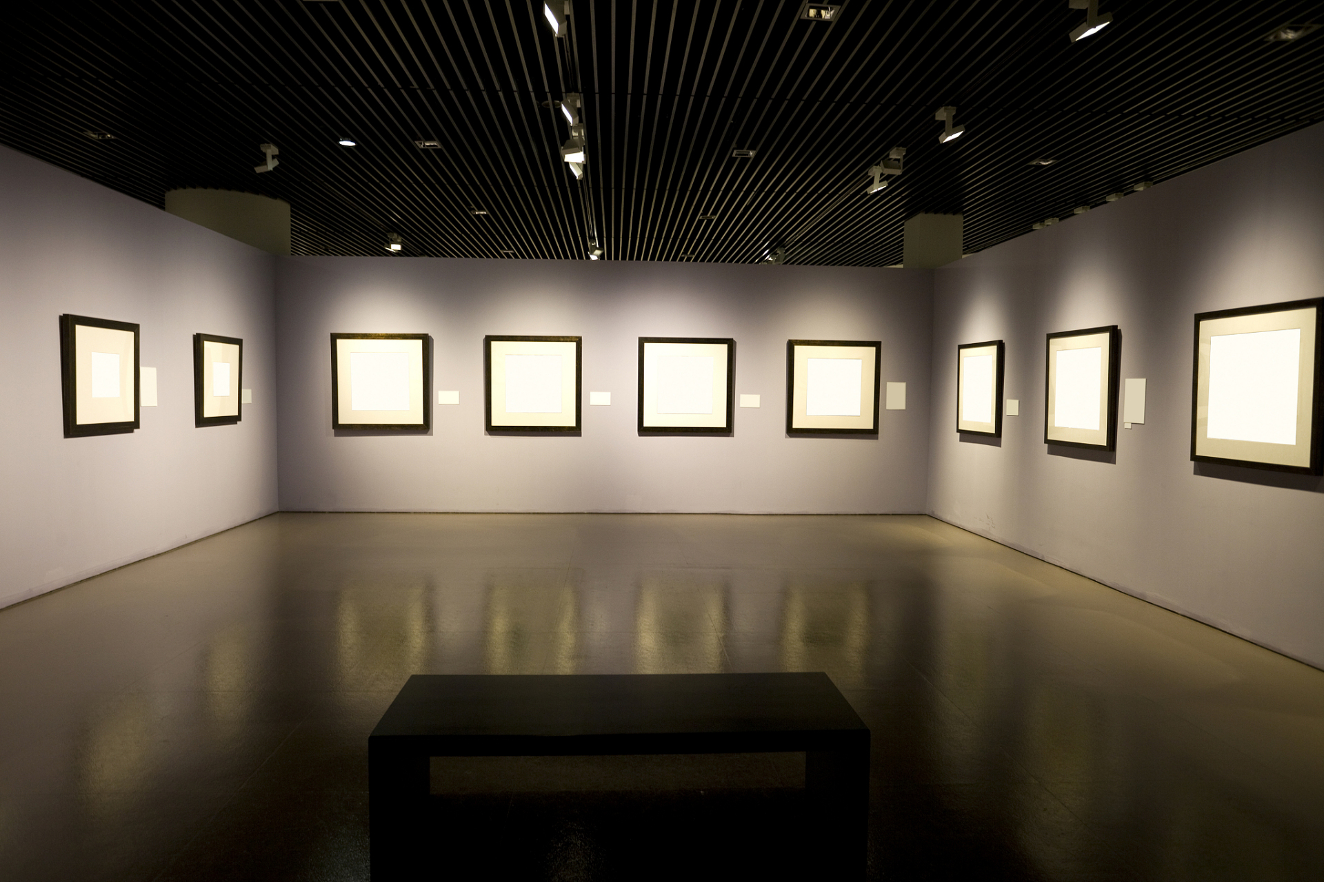 禹舜美术馆是由著名书画艺术家卢禹舜创建的,是国内最大的民营现代化