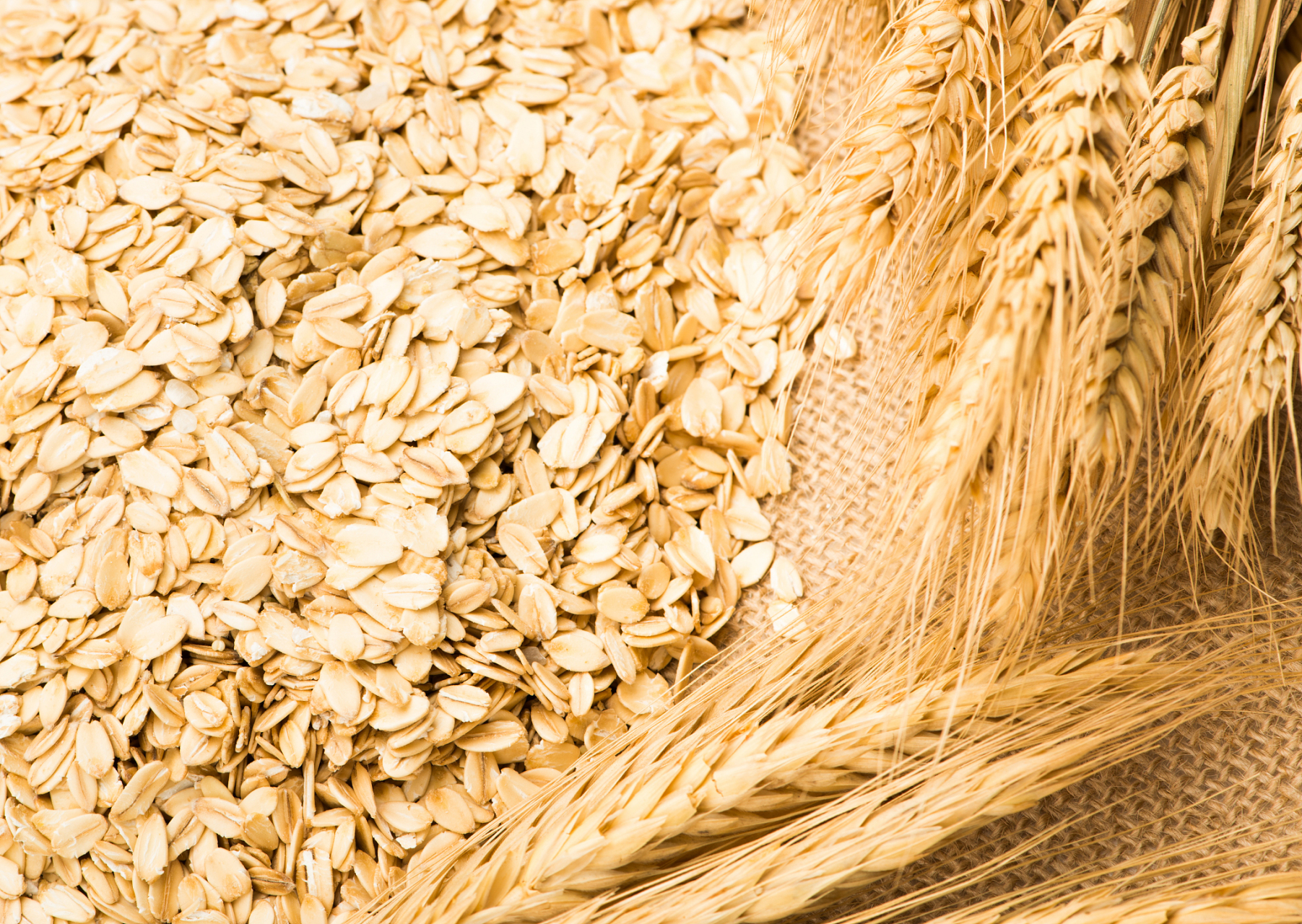 [原文:燕麦与小麦有什么