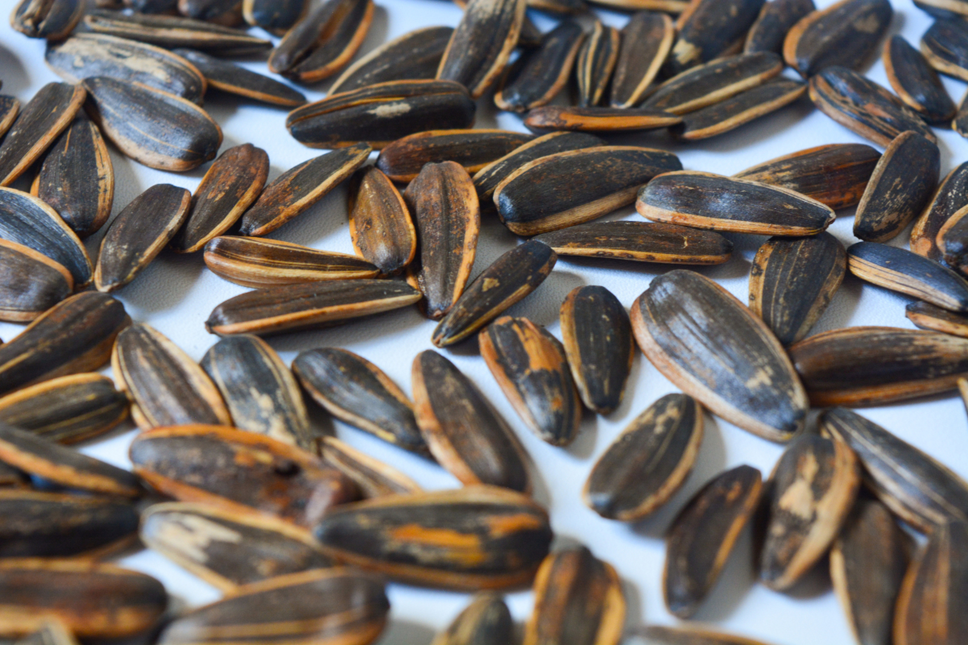 广东星子红瓜子:连州的吉祥之果 在广东省连州市,有一种特产,它被誉为