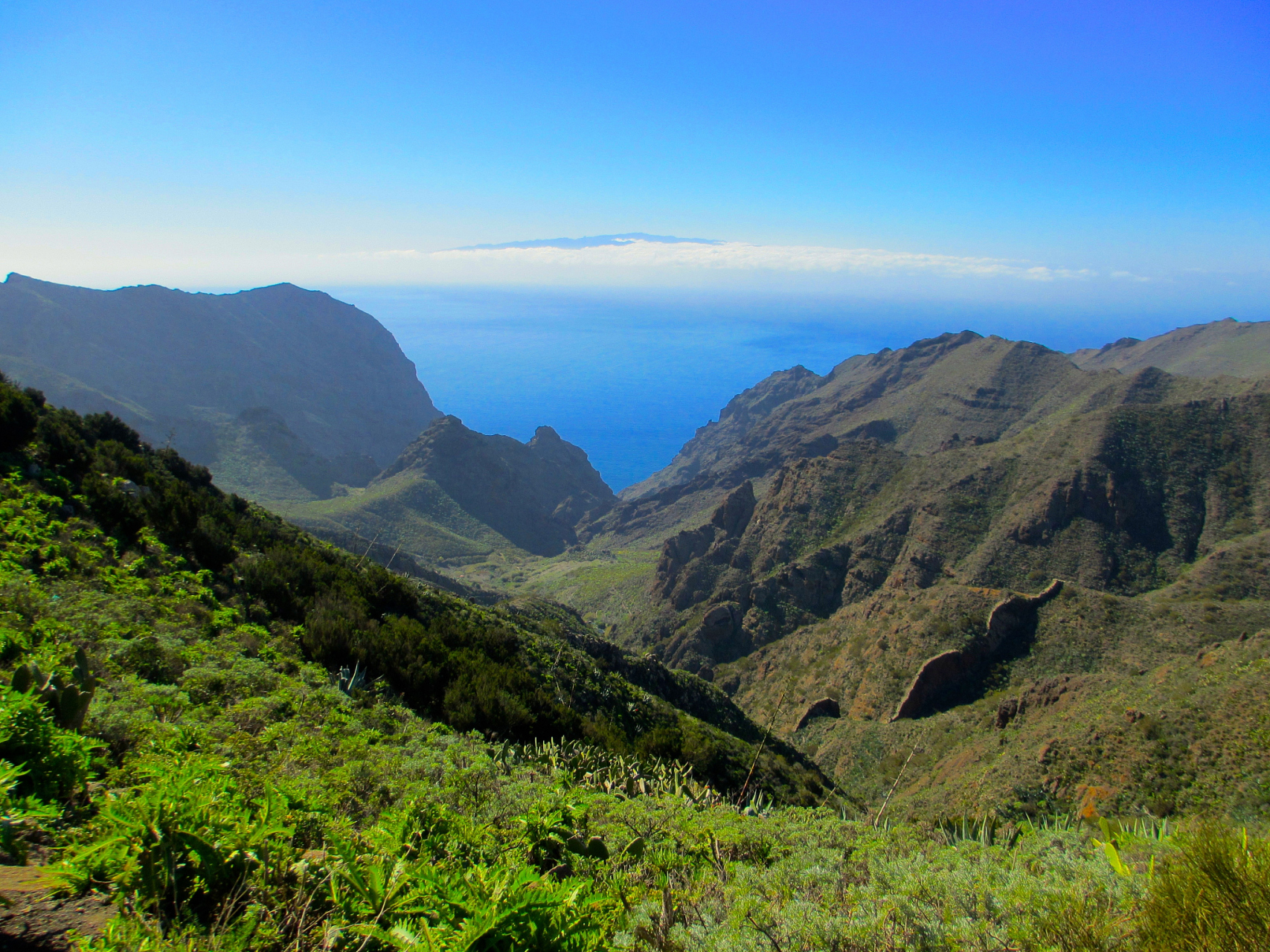 玉山主峰海拔3952米,位于北回归线以北2.3公里,是中国东部最高峰.