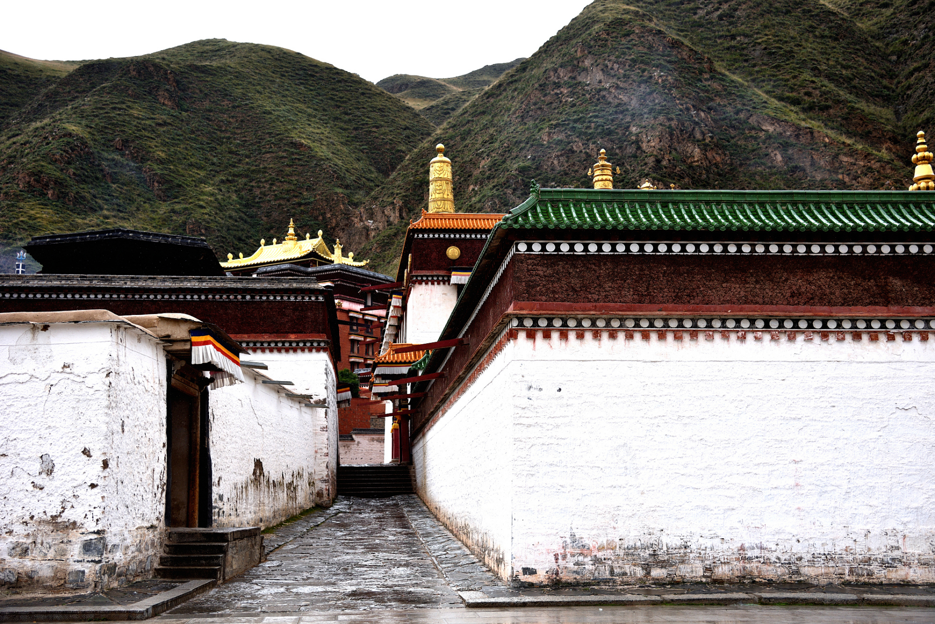 穿越夏河的拉卜楞寺,桑科草原的辽阔风光…郎木古刹的神秘面纱等你来