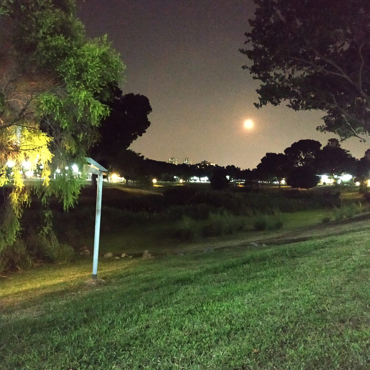 夏天的夜晚,格外安静.