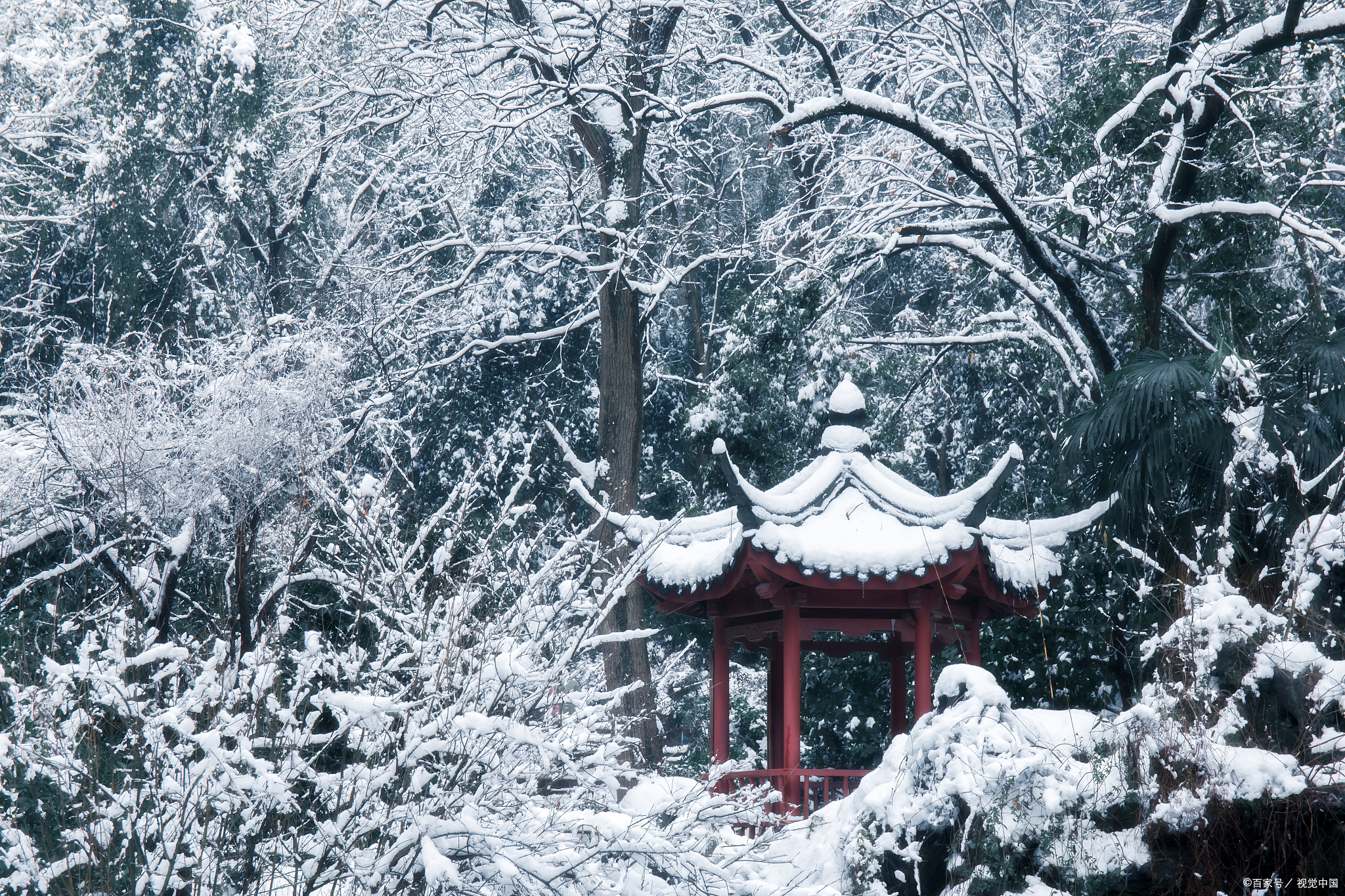 岳麓山雪景图片