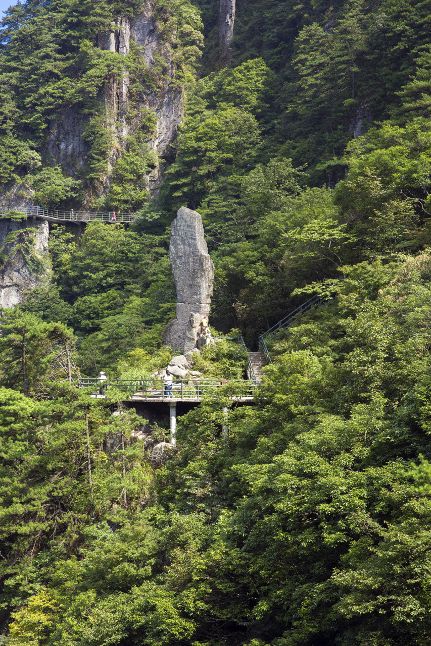 百山祖景区旅游攻略  百山祖,这个位于浙江省丽水市庆元县境内的国家