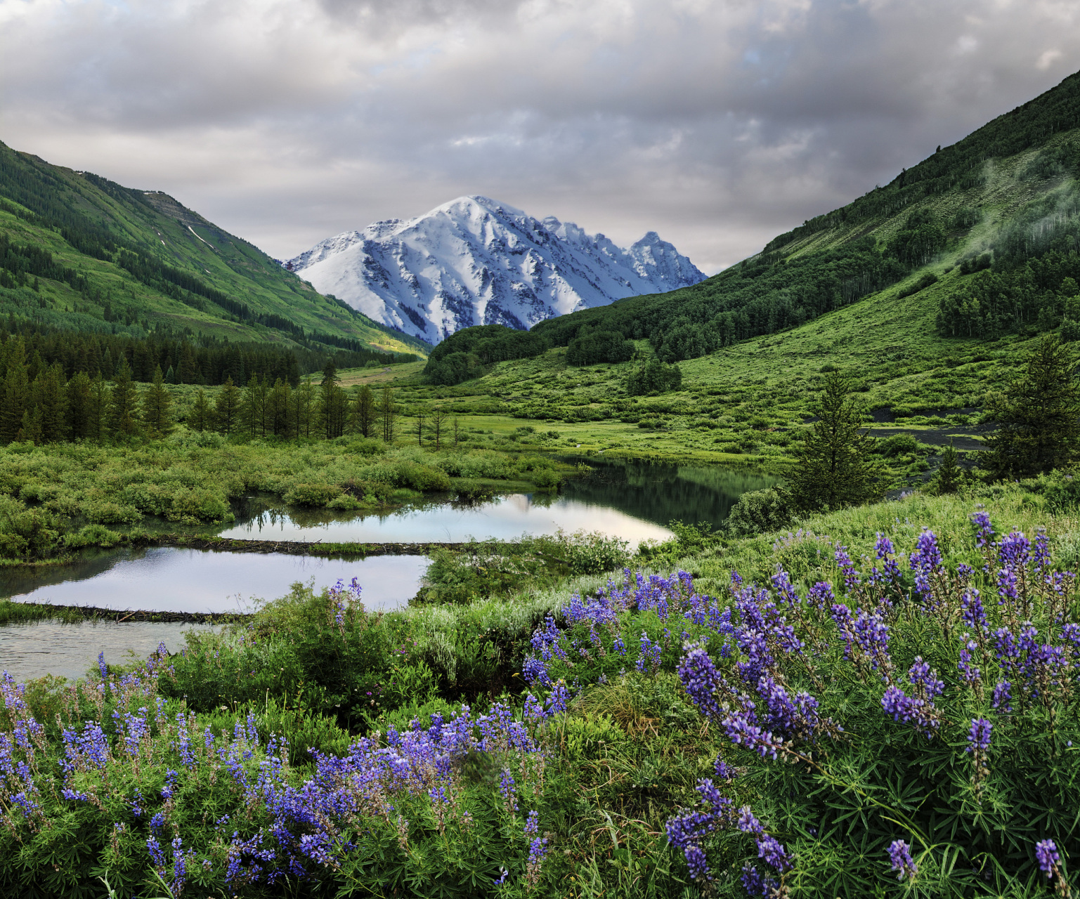 奇遇那拉提#新疆那拉提雪莲谷景点是一处美不胜收的自然景观,同时