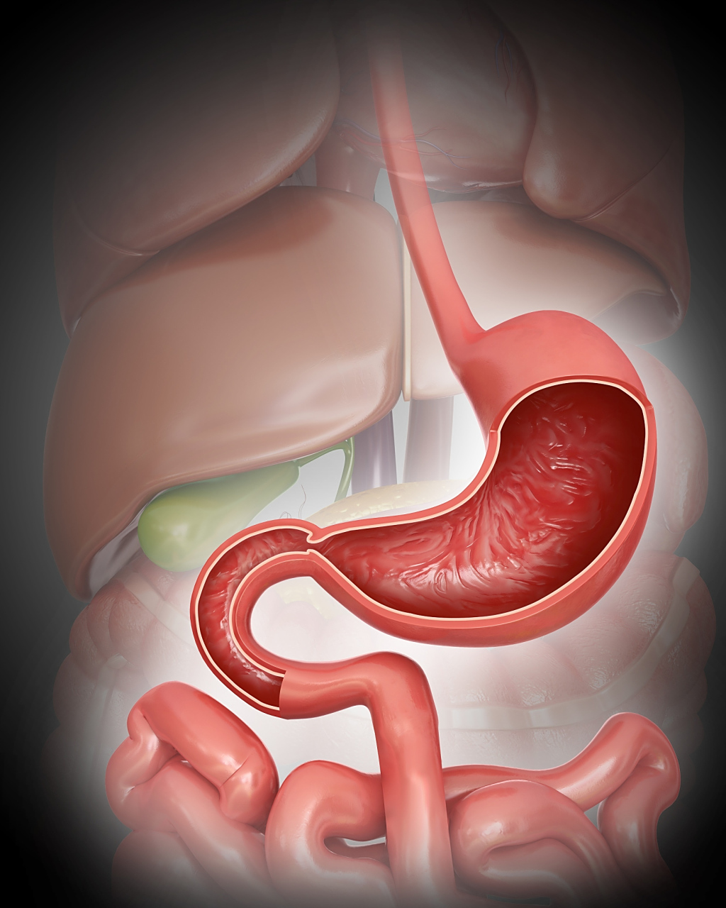 大家好,我是中医脾胃孙久林主任,今天跟大家说一些关于脾胃的知识,让