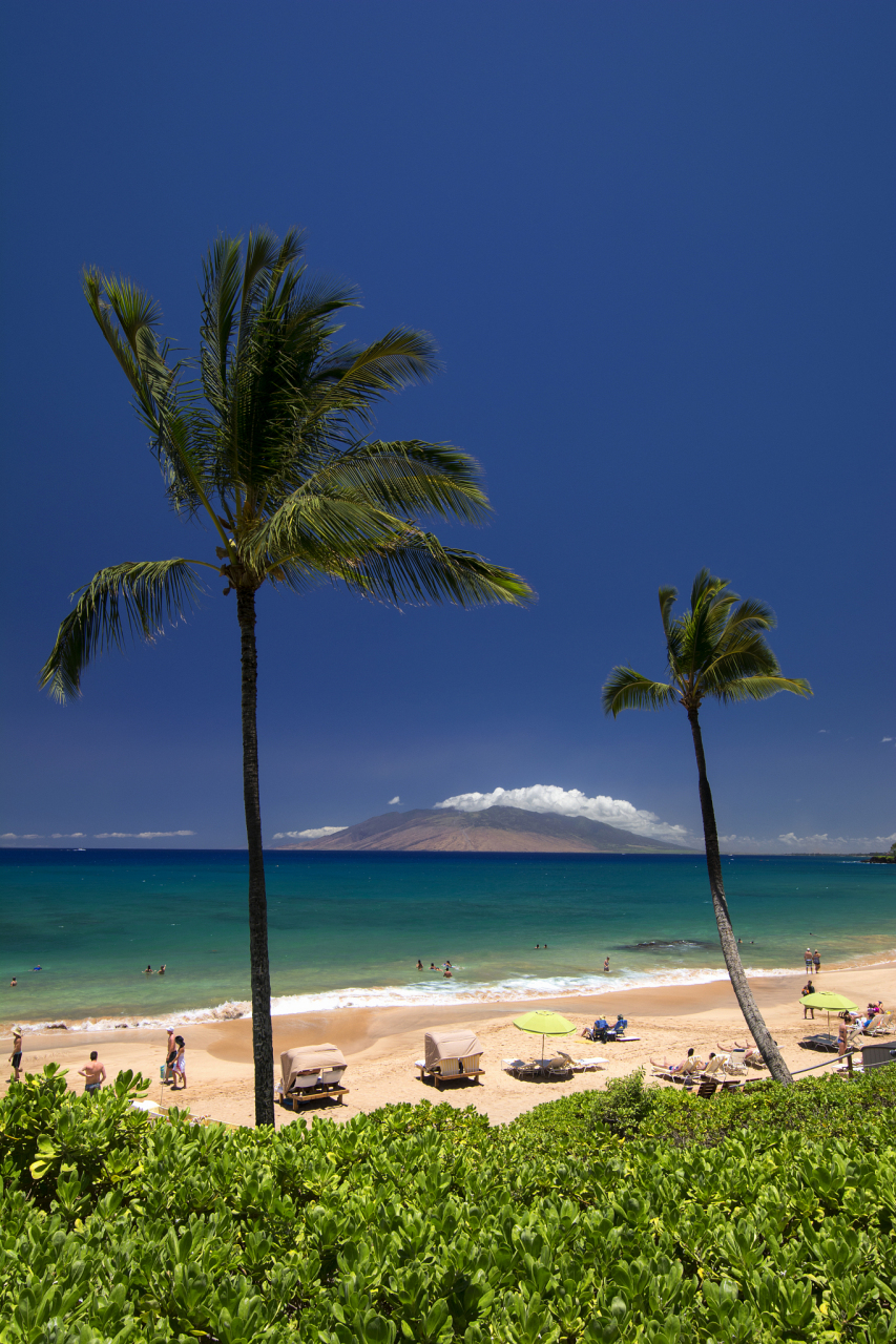 夏威夷大火约100人跳太平洋逃生# 夏威夷大火约100人跳太平洋逃生的