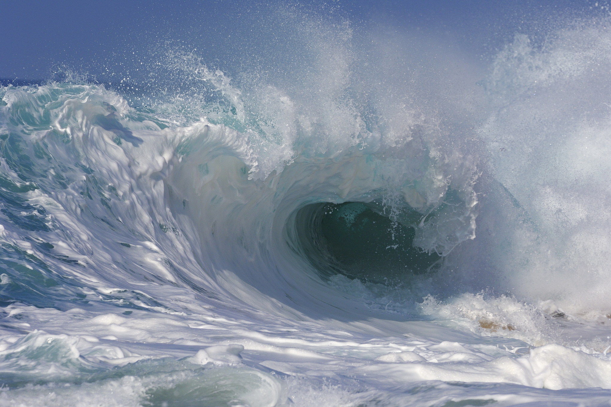 海啸过后也不是万事大吉哦～还需进行灾