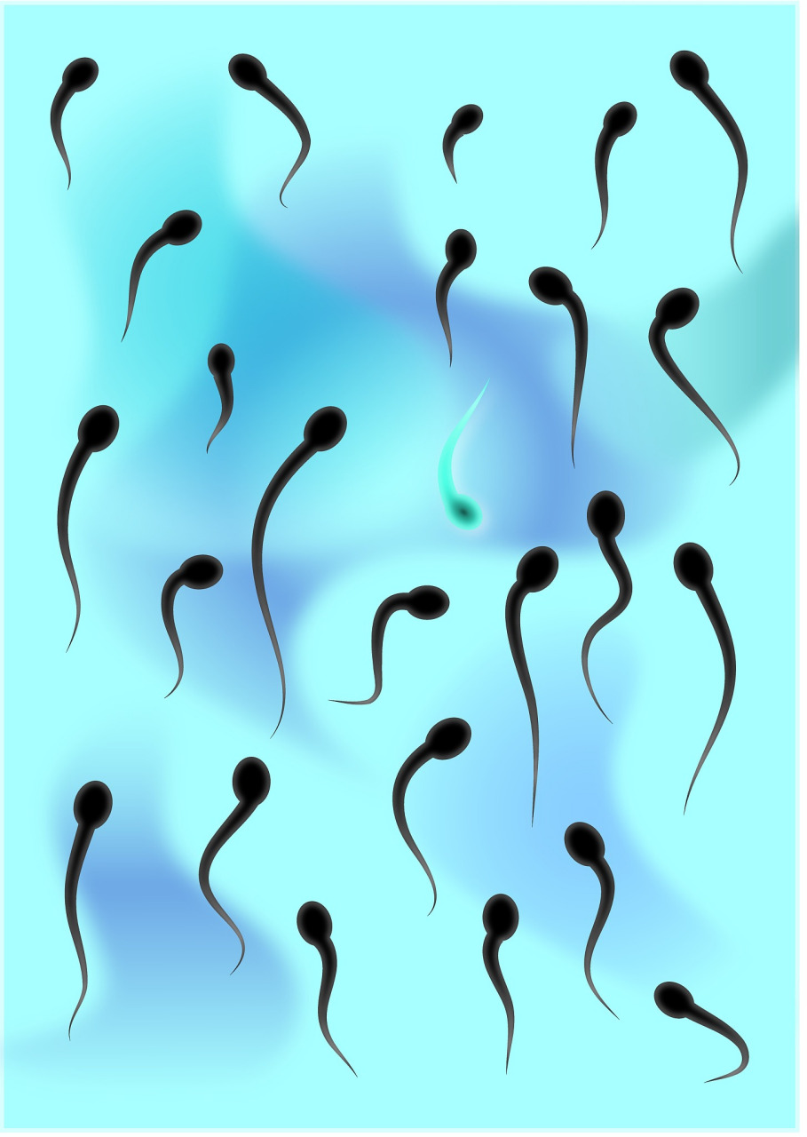 全球男性精子量告急 为啥小蝌蚪变得"少弱病残"?