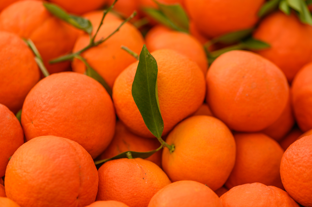 上联:苦瓜瓜苦苦瓜苦,诚邀下联#