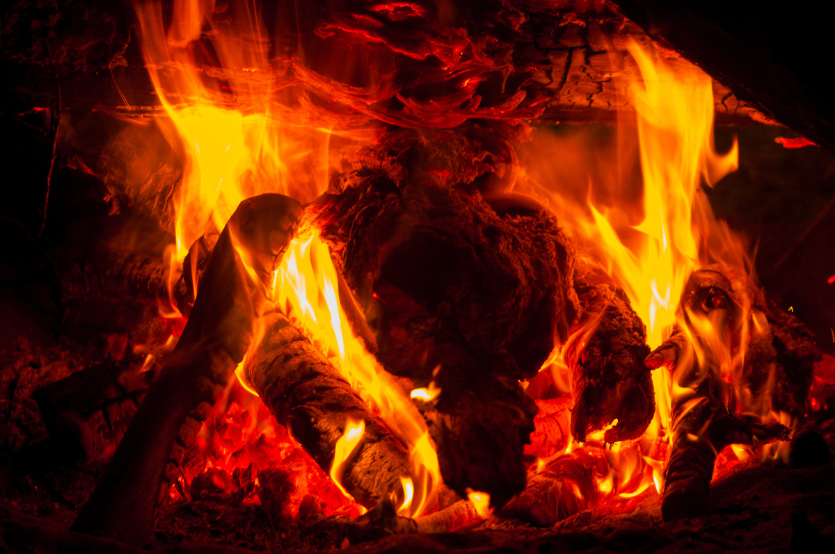 3男孩遇杂草起火先报警再灭火在天津蓟州一个