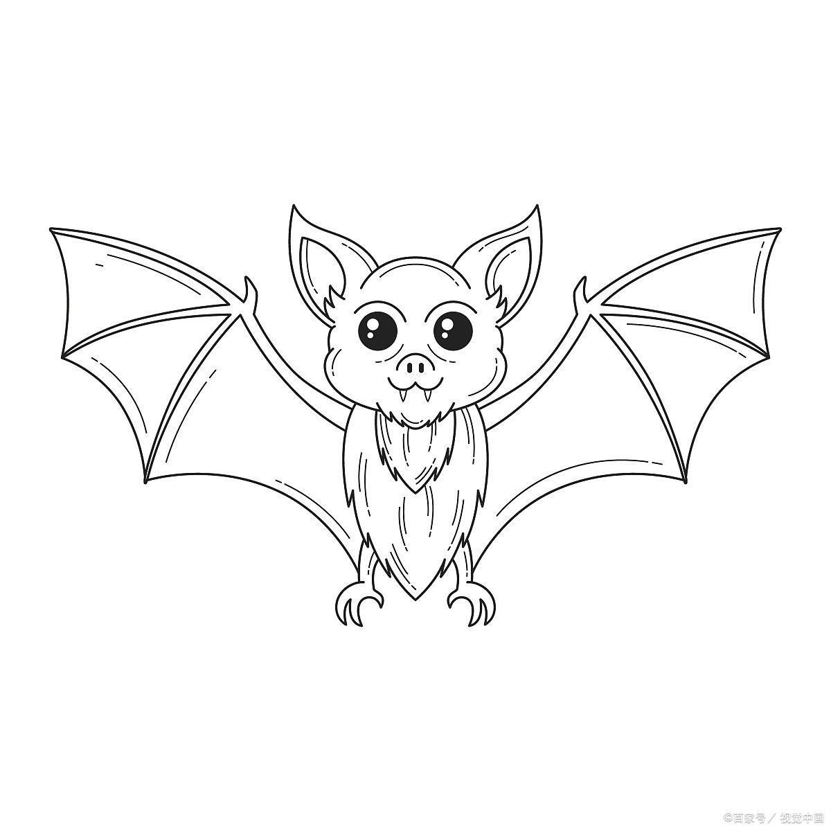 绘画步骤卡通蝙蝠的画法头部和身体的绘制:首先