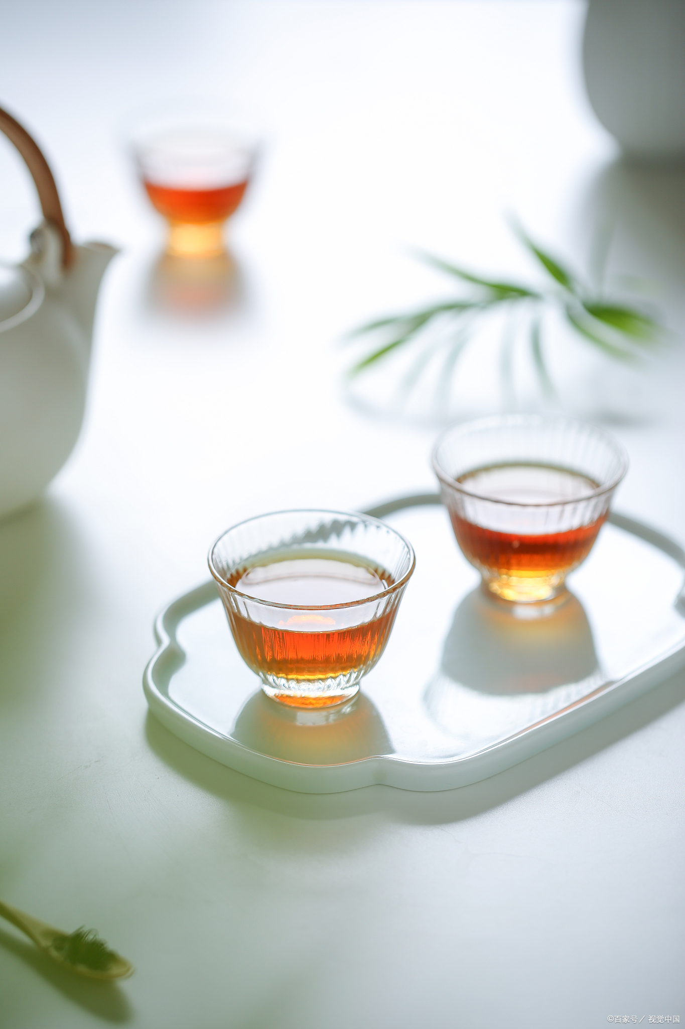 茶文化揭秘茶叶色香味的由来