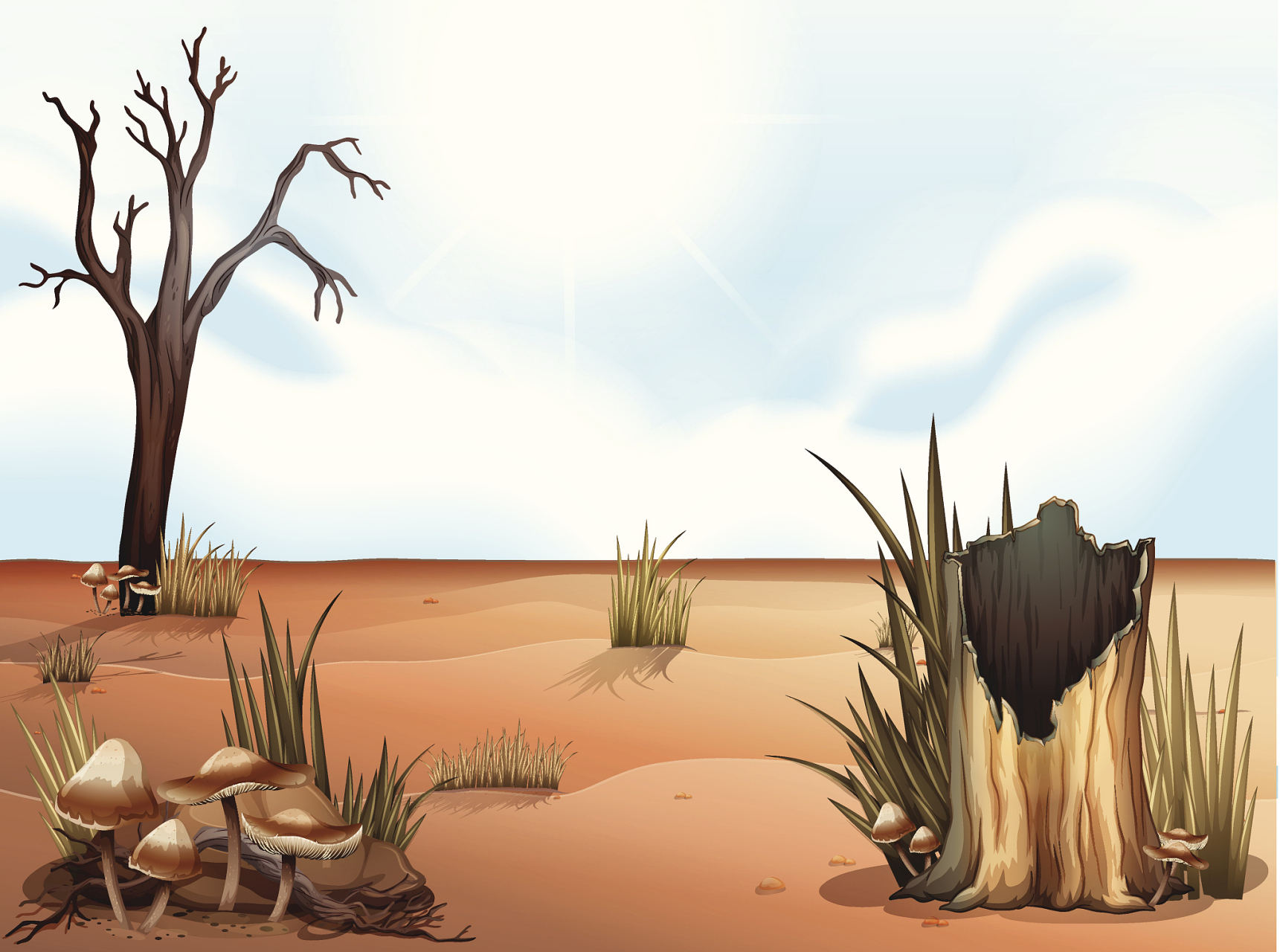 故事里,炎炎烈日下,茫茫沙漠中,真正救了他们的,又哪里是那一壶沙子呢