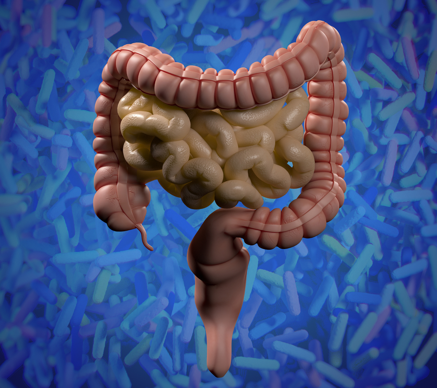 其实这不一定是大便堵在肛门口了,还有可能是堵在肠子里面了.