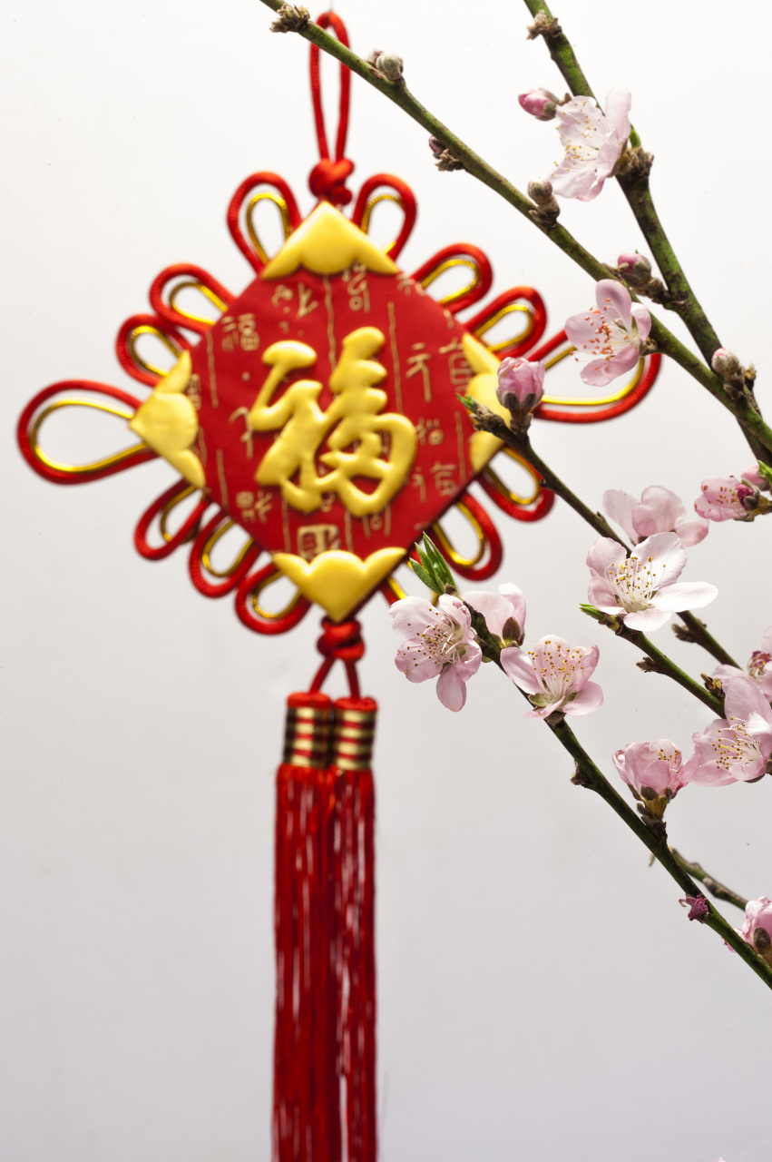 今天我要来给大家聊一聊一个特别有趣的话题——"福字".