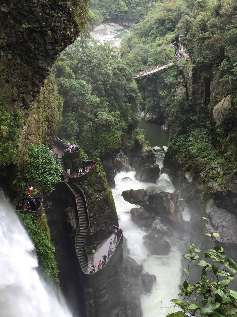 碧峰峡景区,位于雅安市境内,是一处集自然风景,动植物保护,度假休闲为
