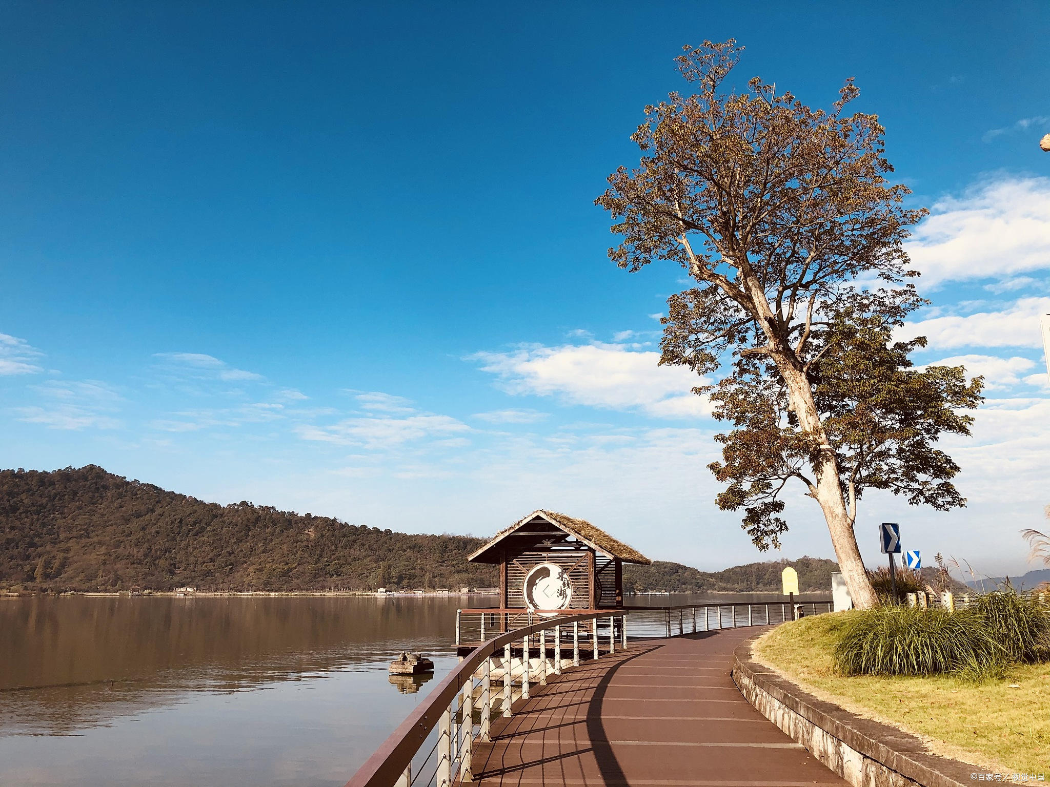 玉环湿地公园门票免费图片