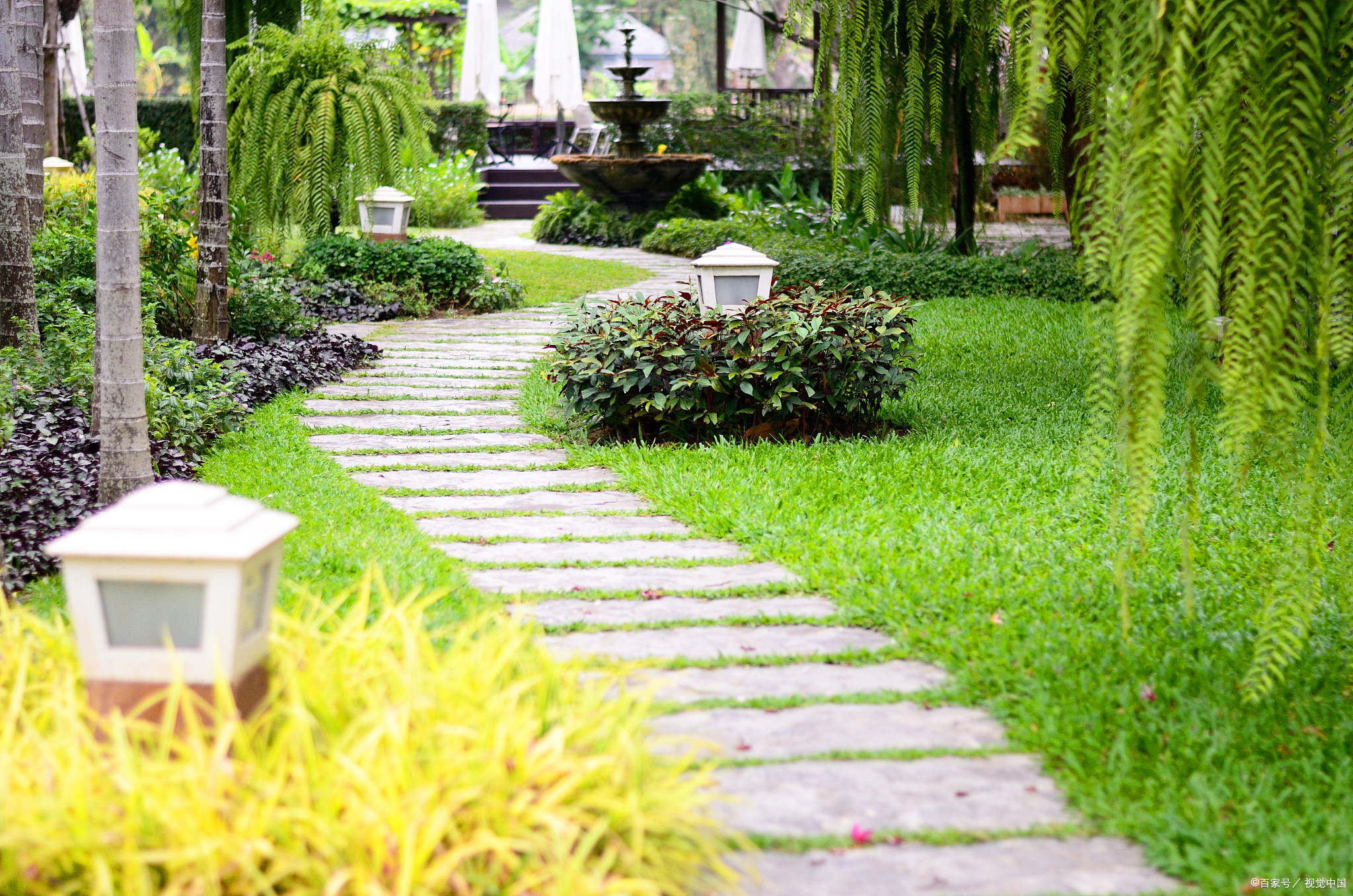 刘源春·说韵系列(2)说说律绝诗大忌之一的"孤平"