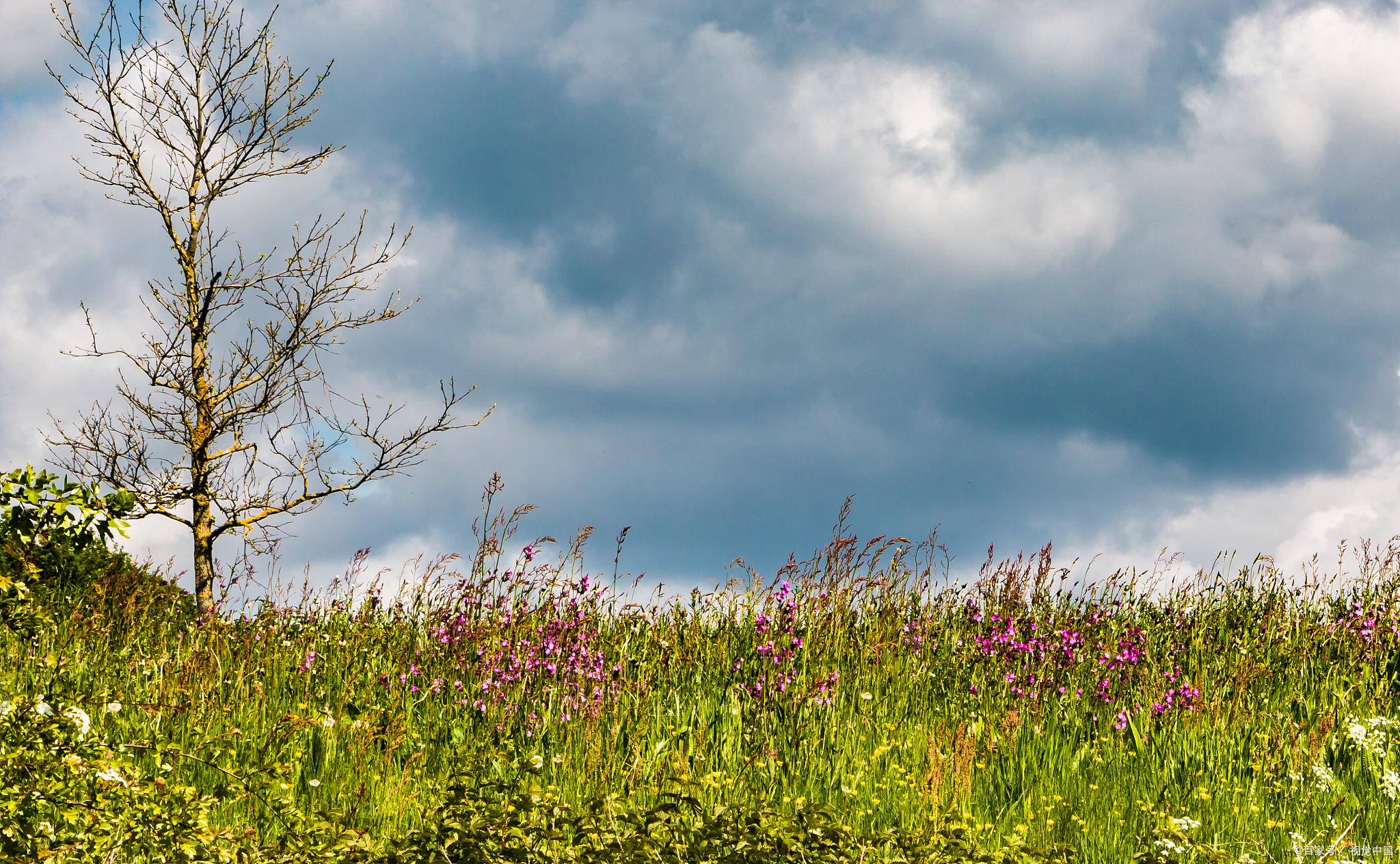 古诗《醉美宁夏》谁把蓬莱阅海迁,锦林吐秀聚闲烟
