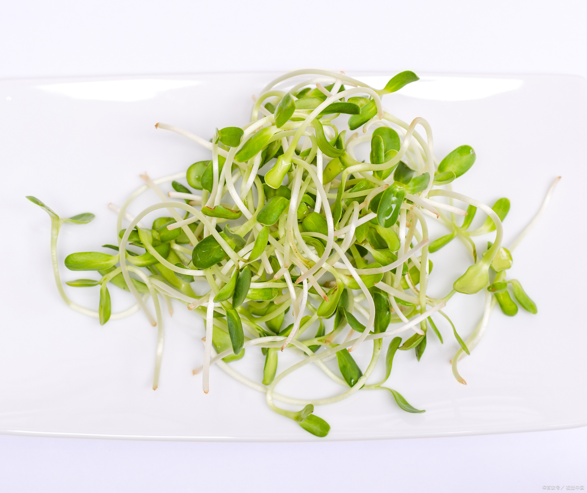 深度解析十大高嘌呤蔬菜