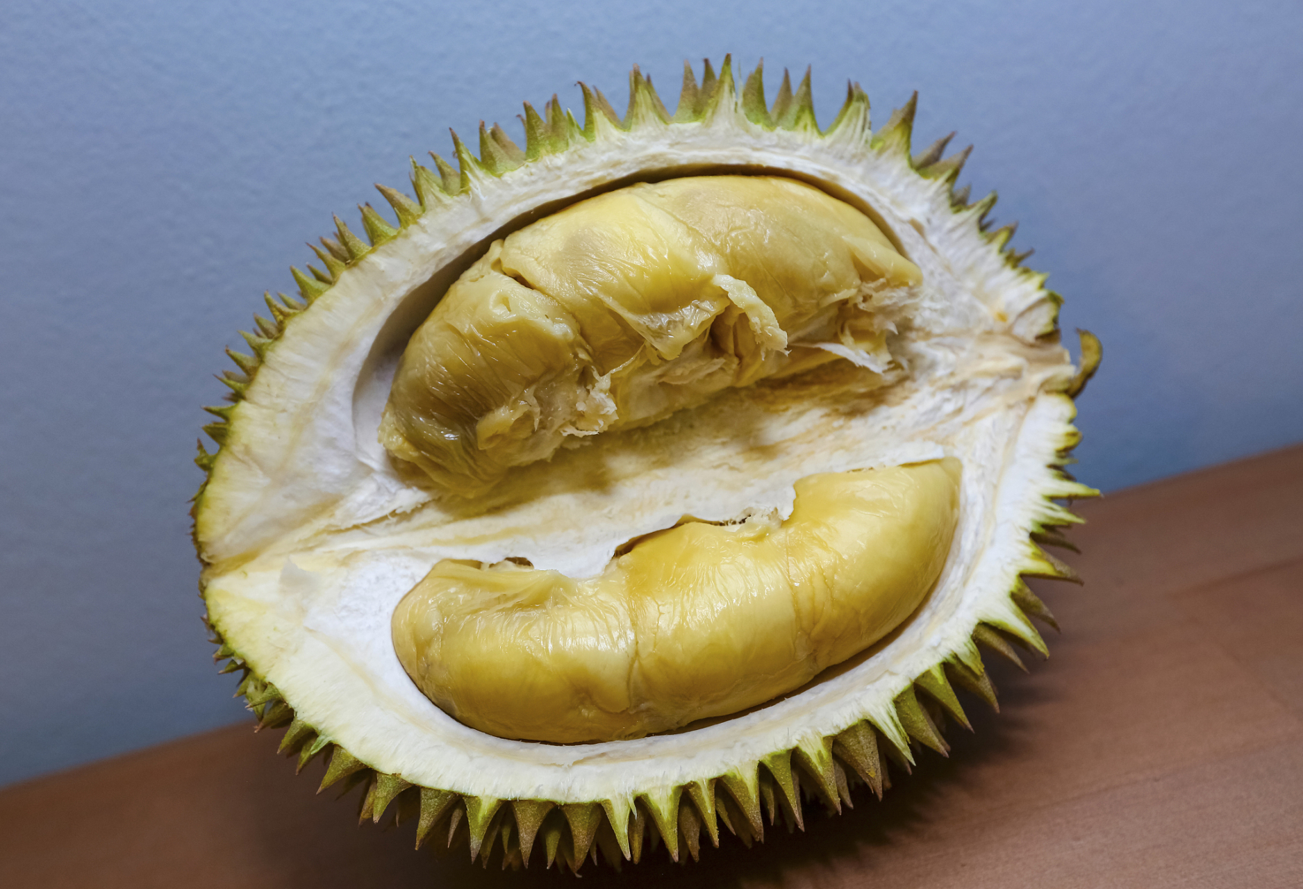 三亚榴莲6月将大规模上市 据人民网报道,近日,三亚育才生态区榴莲基地