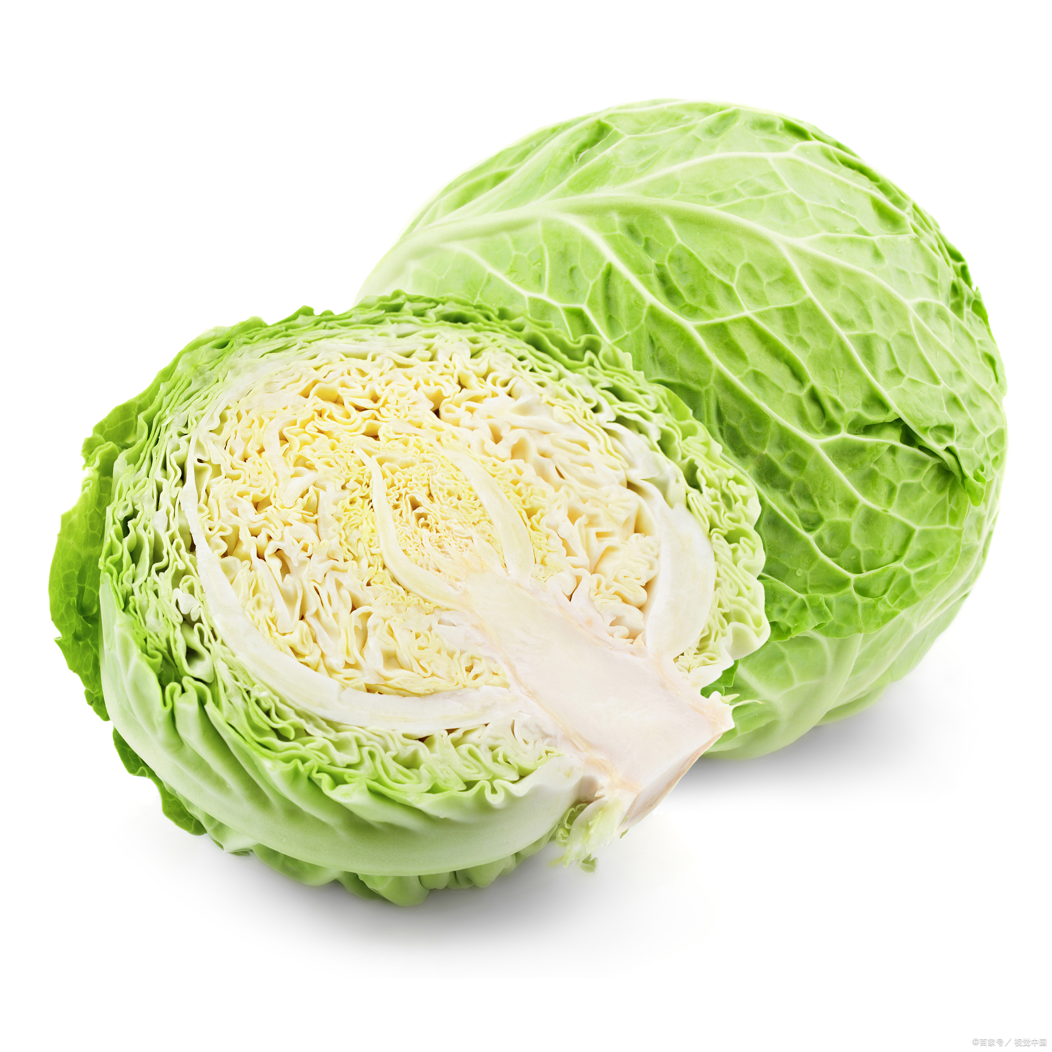 家常爆炒包菜,简单易学又美味!