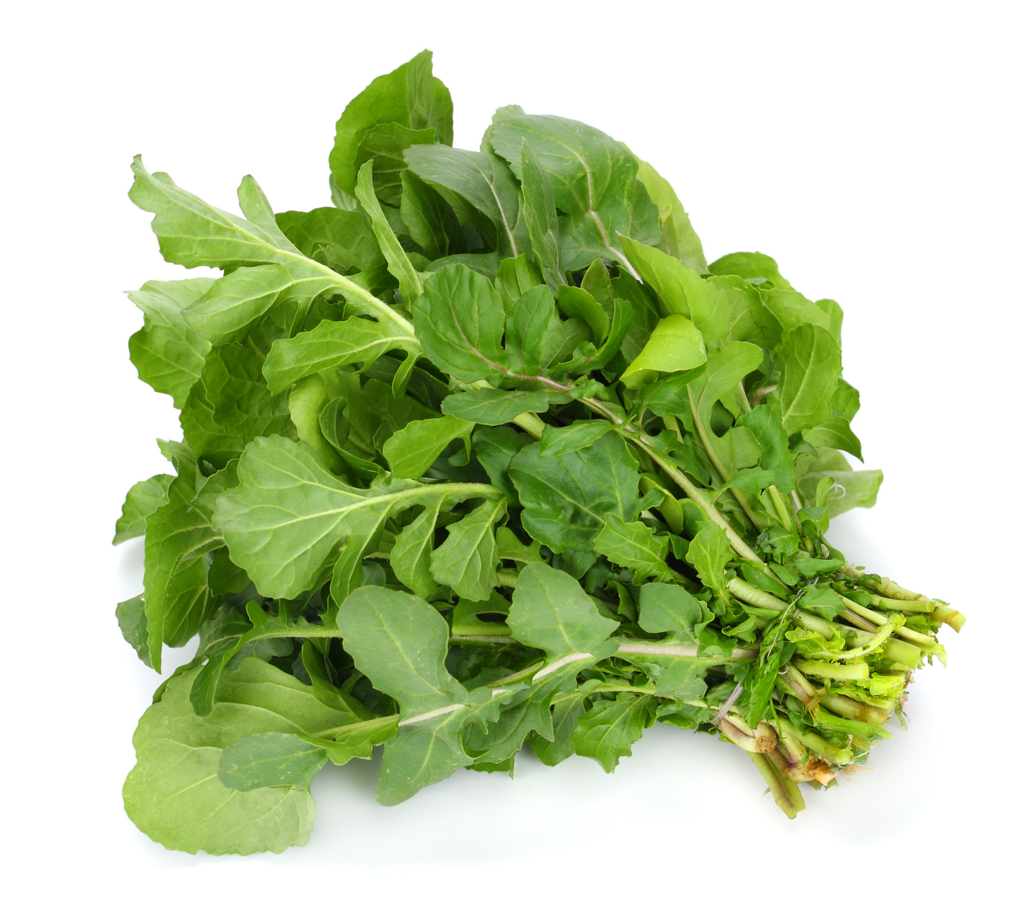 雪里蕻清香型泡菜式腌制法  1000g雪里蕻洗净去根切断,选用适合的坛子