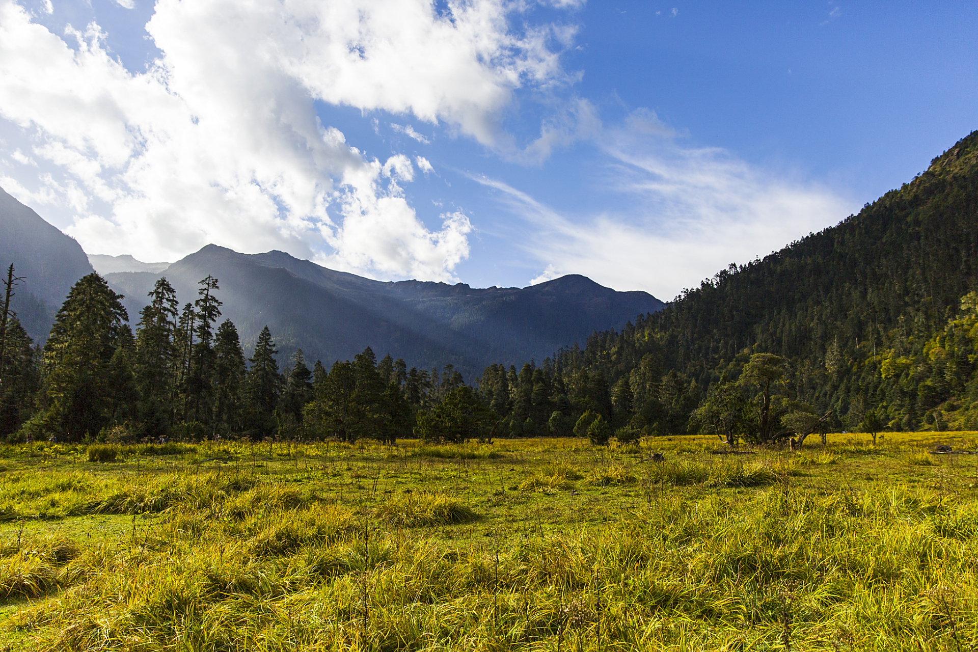 南伊沟:位于西藏林芝市米林市南部的南伊珞巴民族乡境内,是纳伊普曲