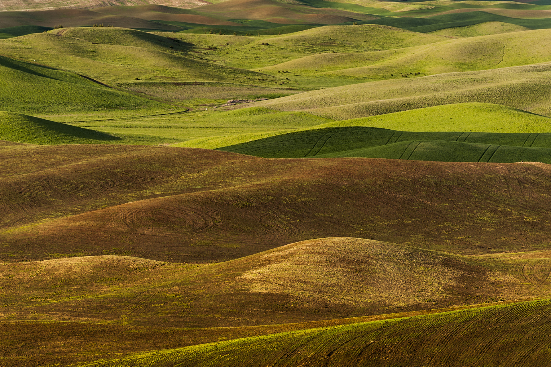 85颜色:黄色,褐色,咖啡色等. 85方位:中原,东北方,西南方.